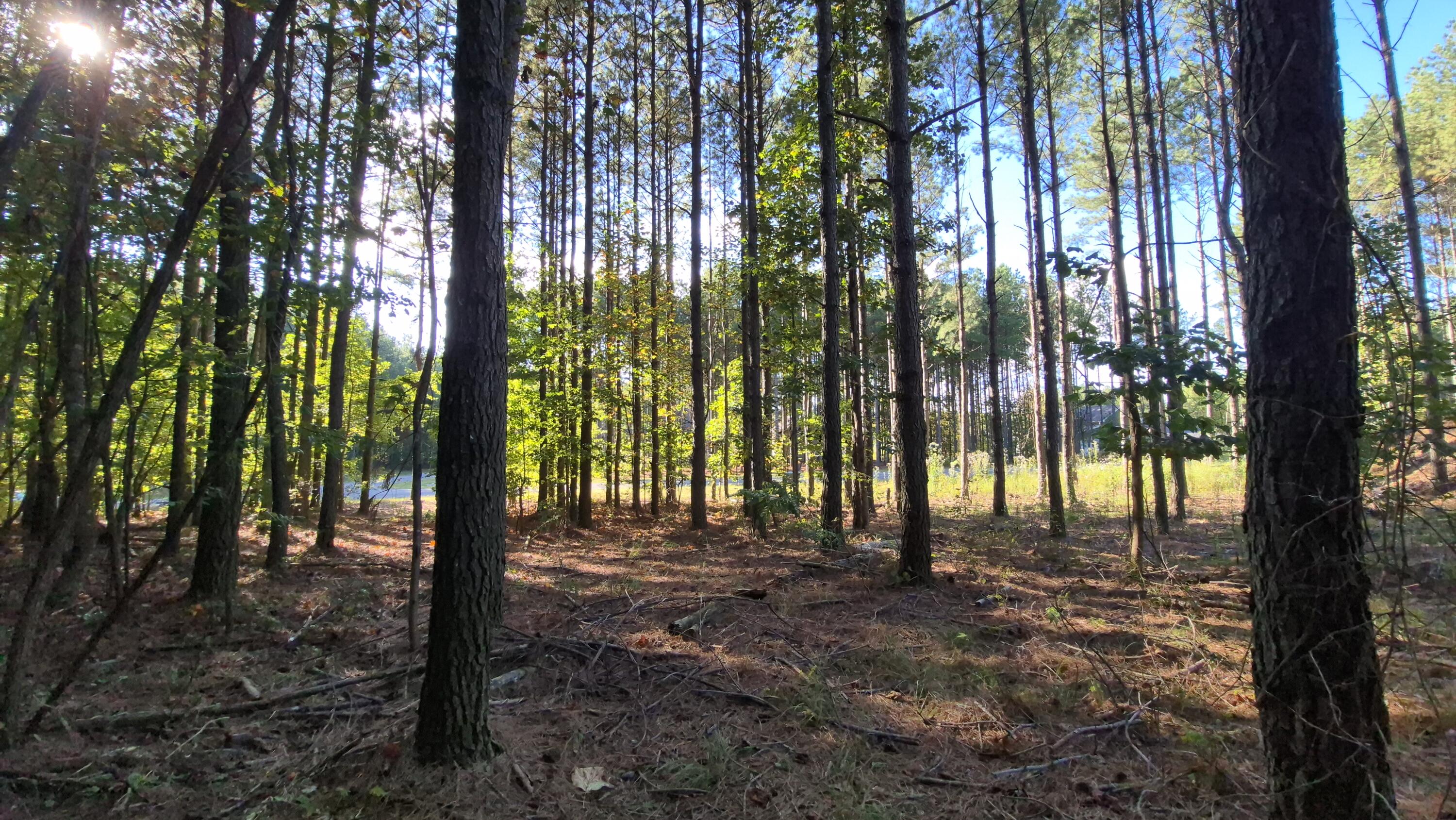 4560 Raulston Falls Road, Jf-112