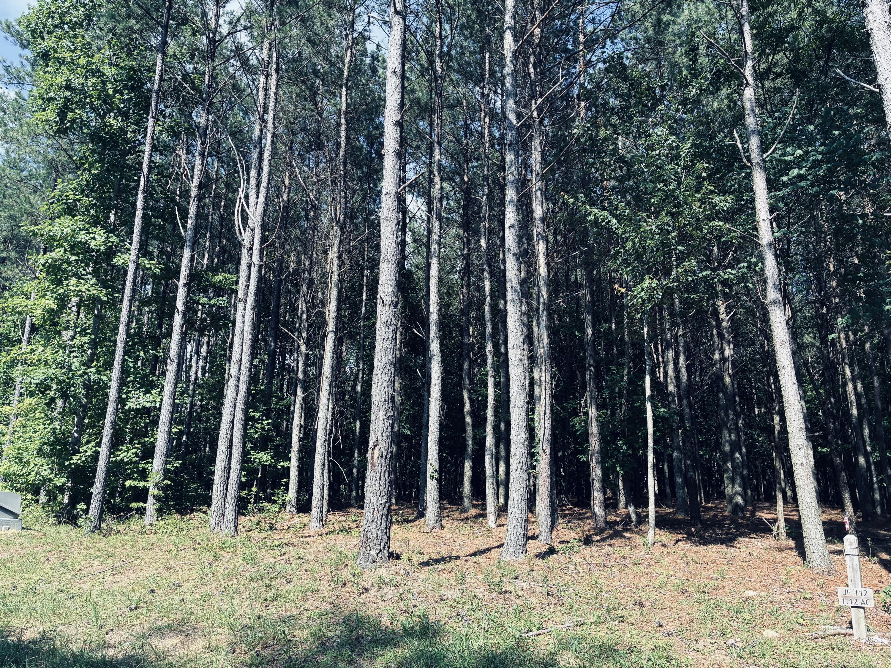 Wooded lot with tall trees and a roadside marker labeled JF 112, 1.12 AC.