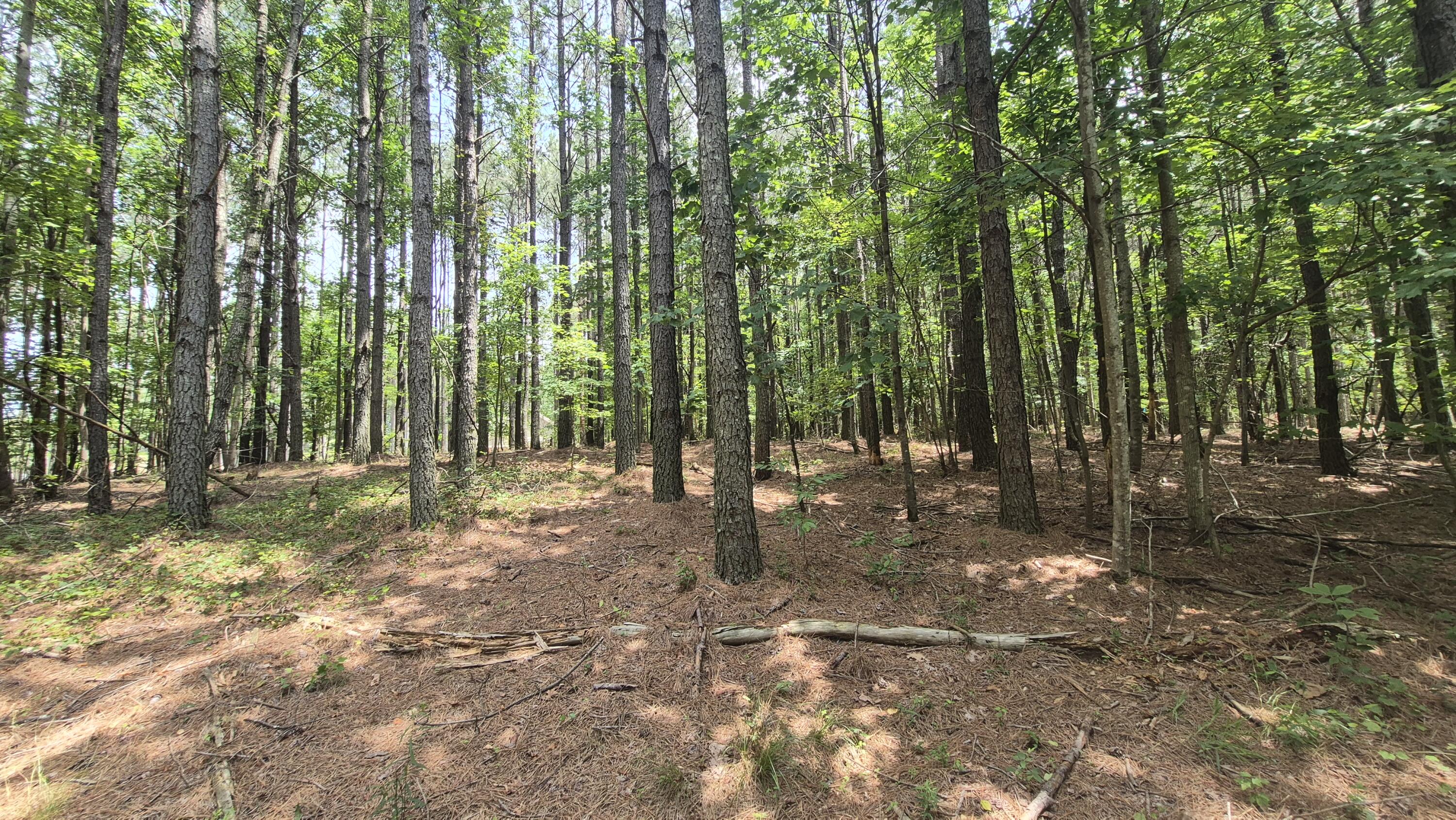 4560 Raulston Falls Road, Jf-112