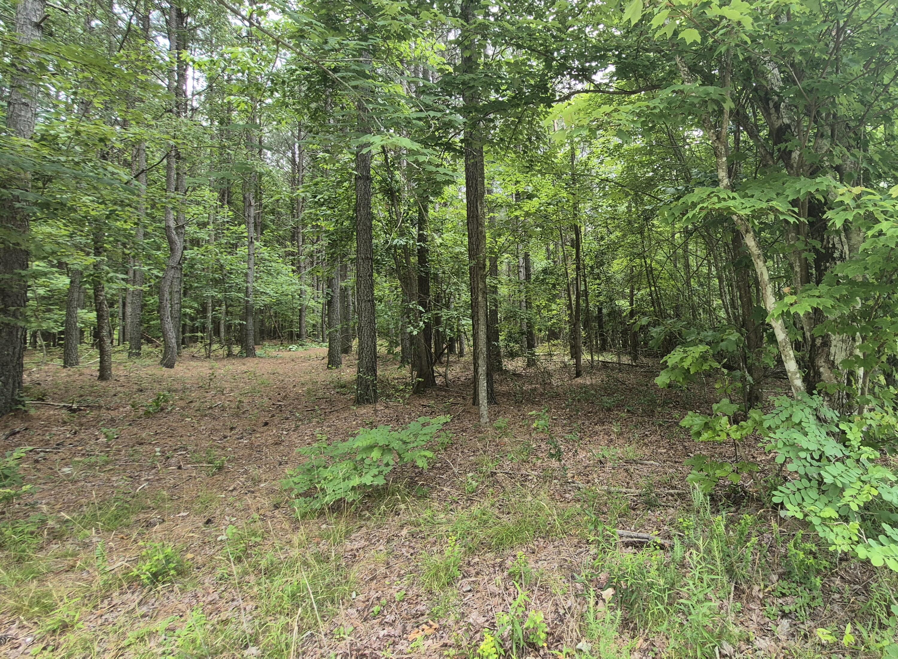 4560 Raulston Falls Road, Jf-112