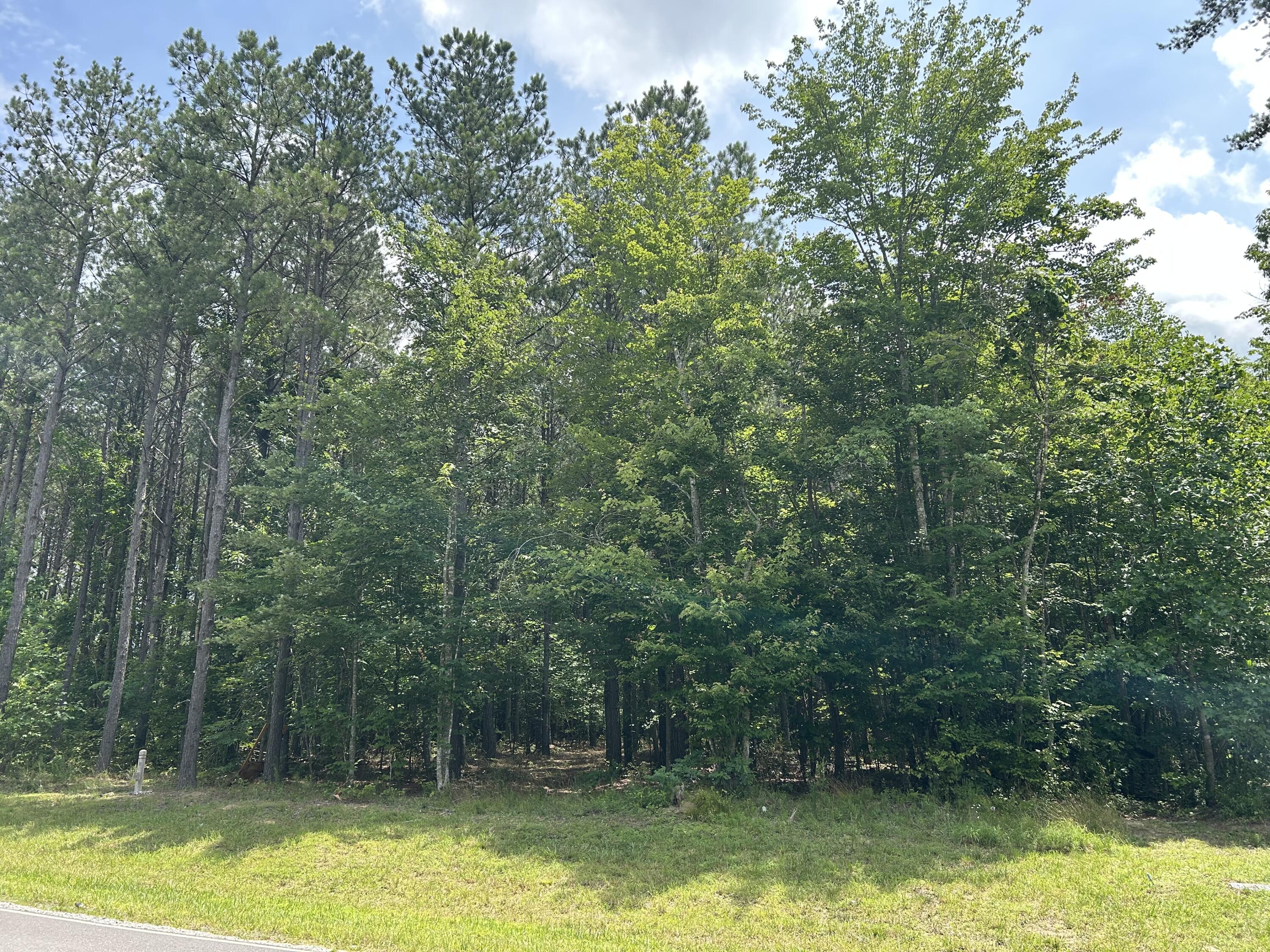 4560 Raulston Falls Road, Jf-112