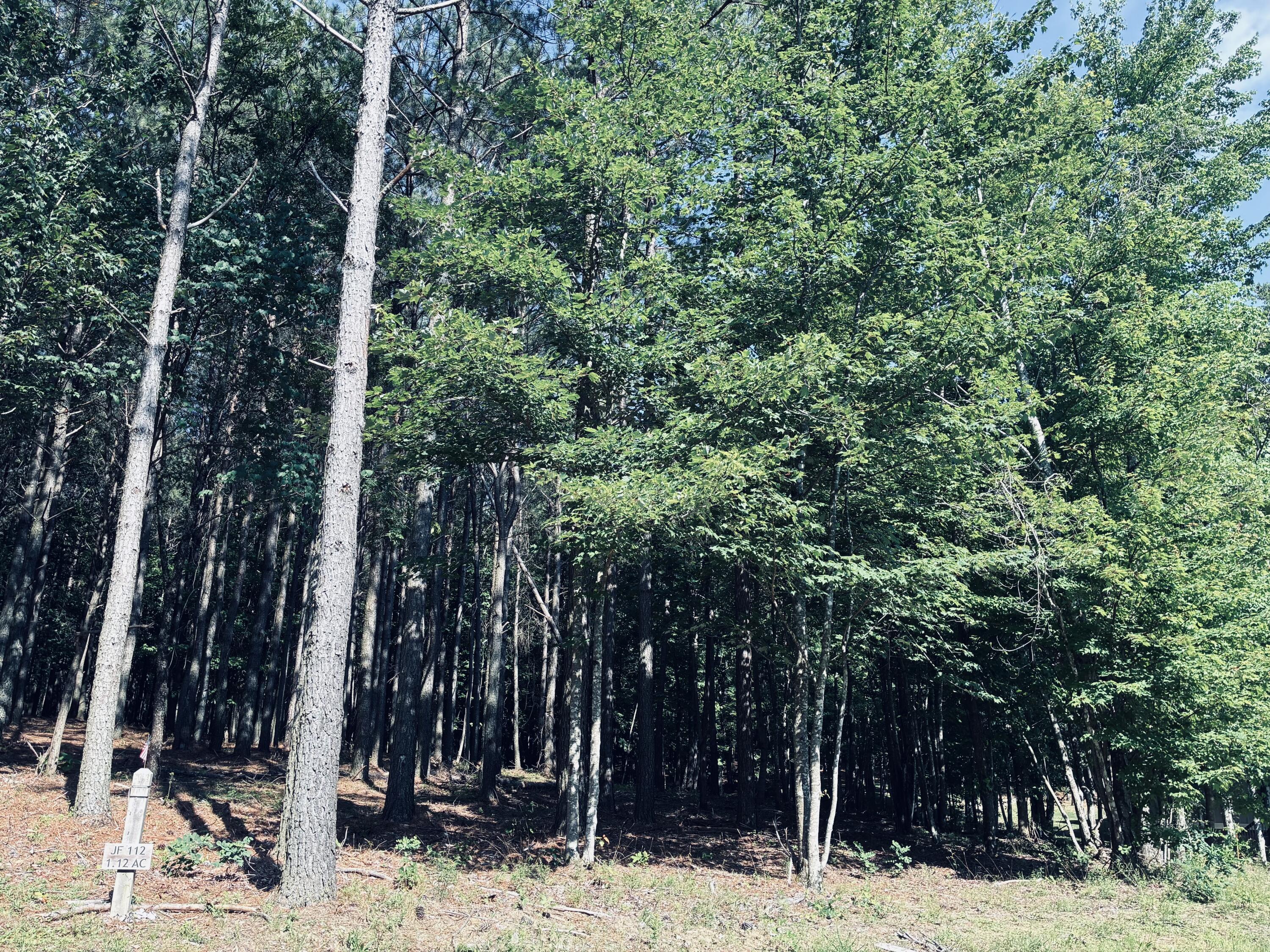 Wooded 1.12-acre lot marked JF 112, with mature trees and dense summer foliage.
