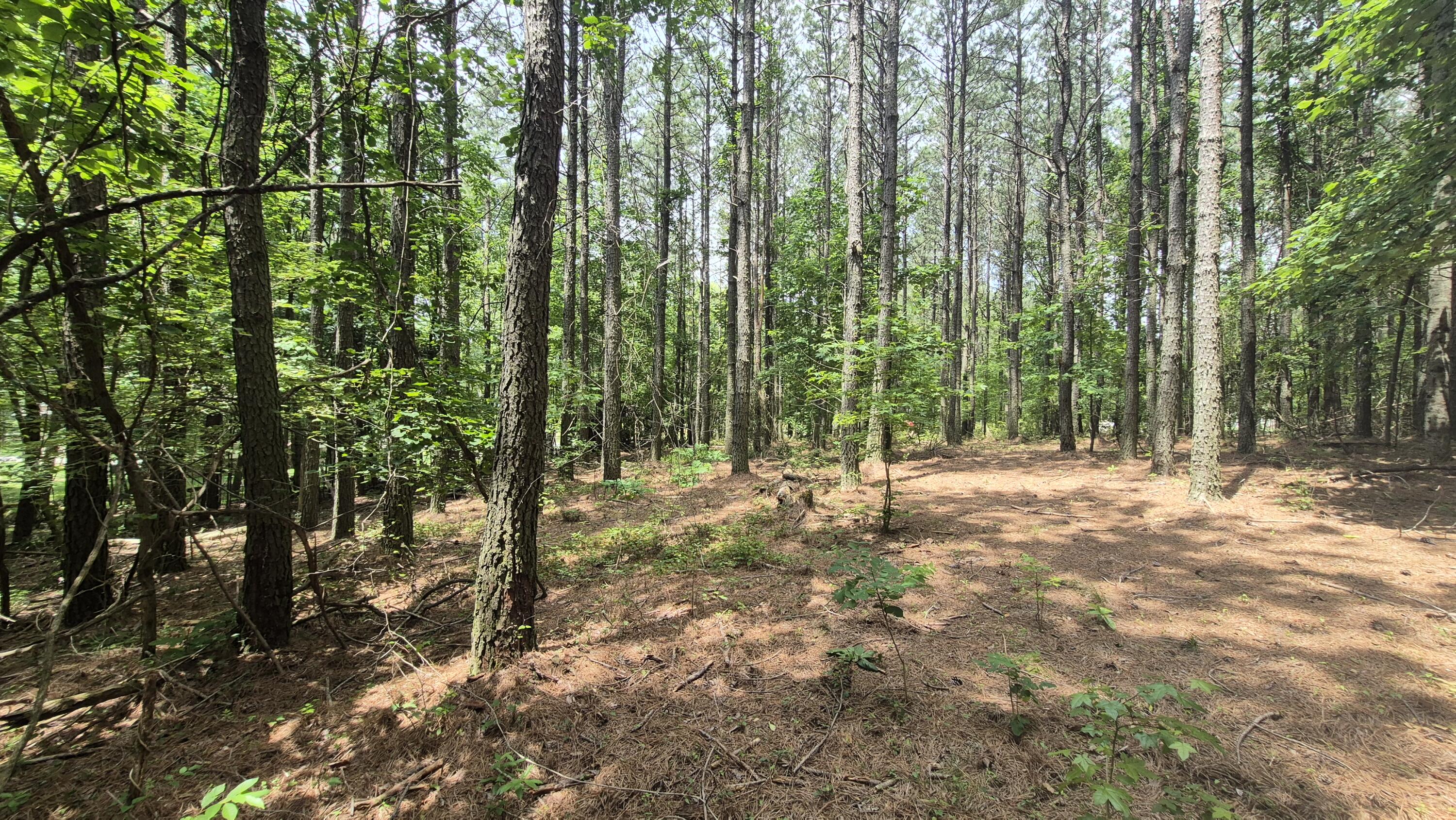 4560 Raulston Falls Road, Jf-112