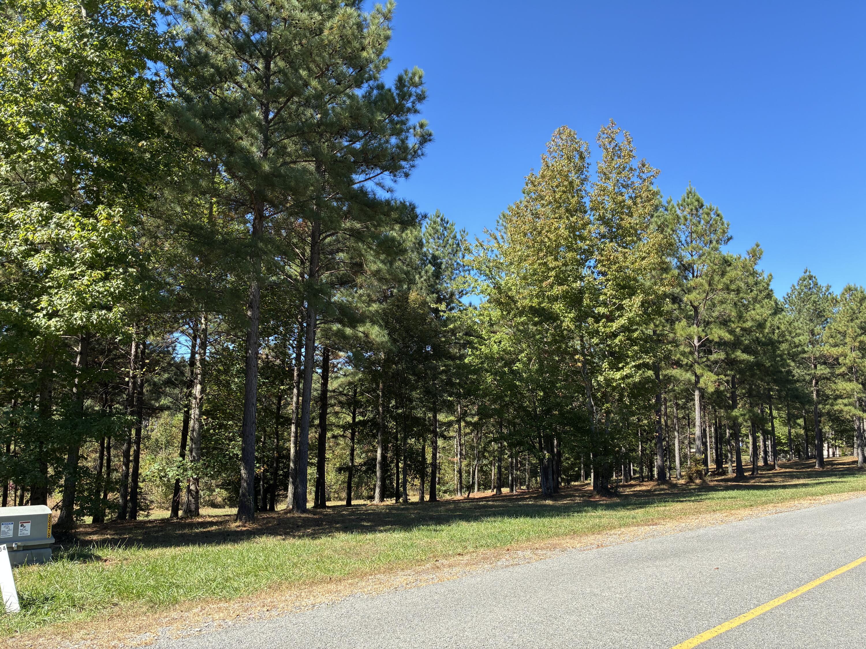241 Pappy Road, 205