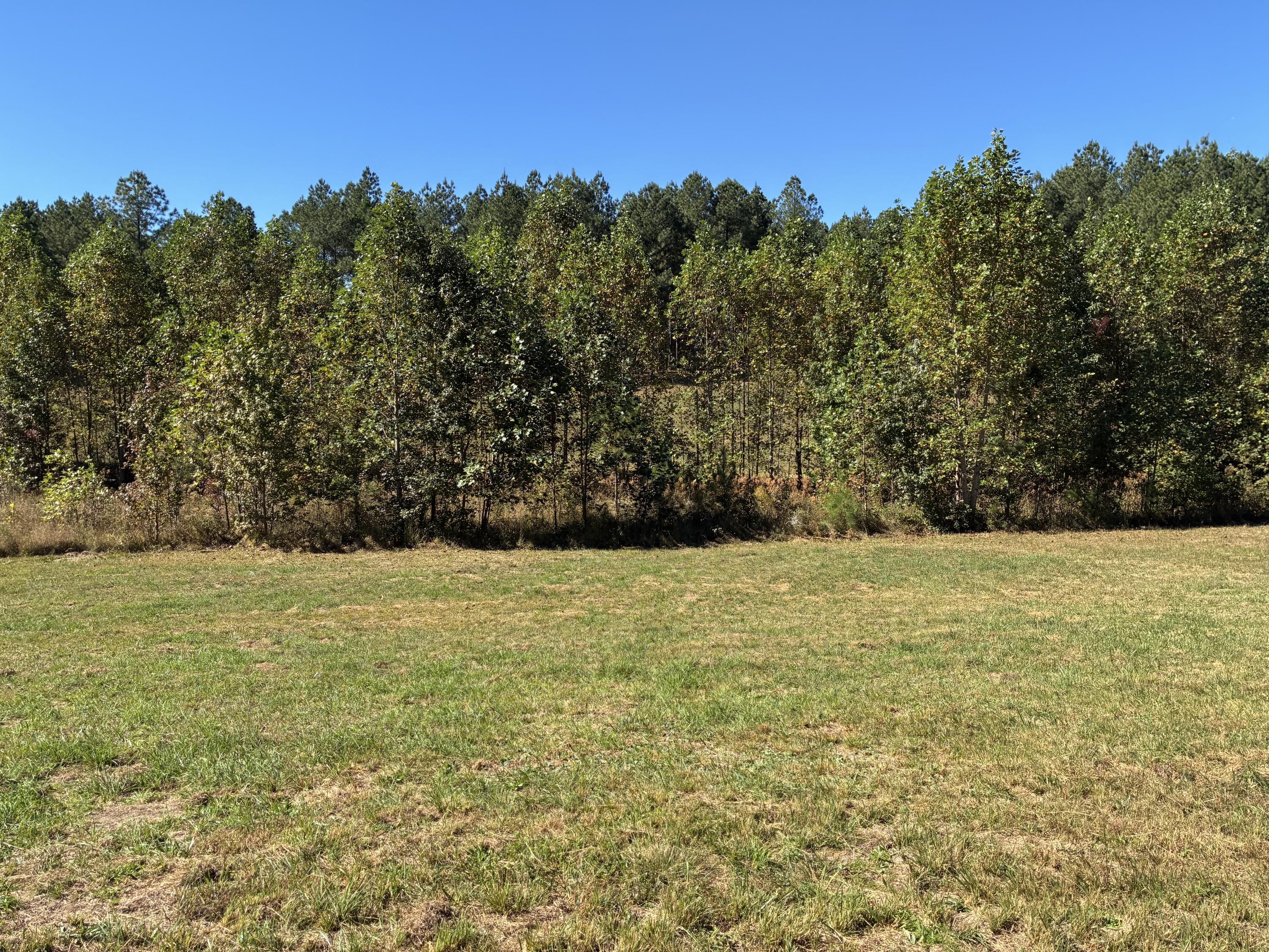 241 Pappy Road, 205