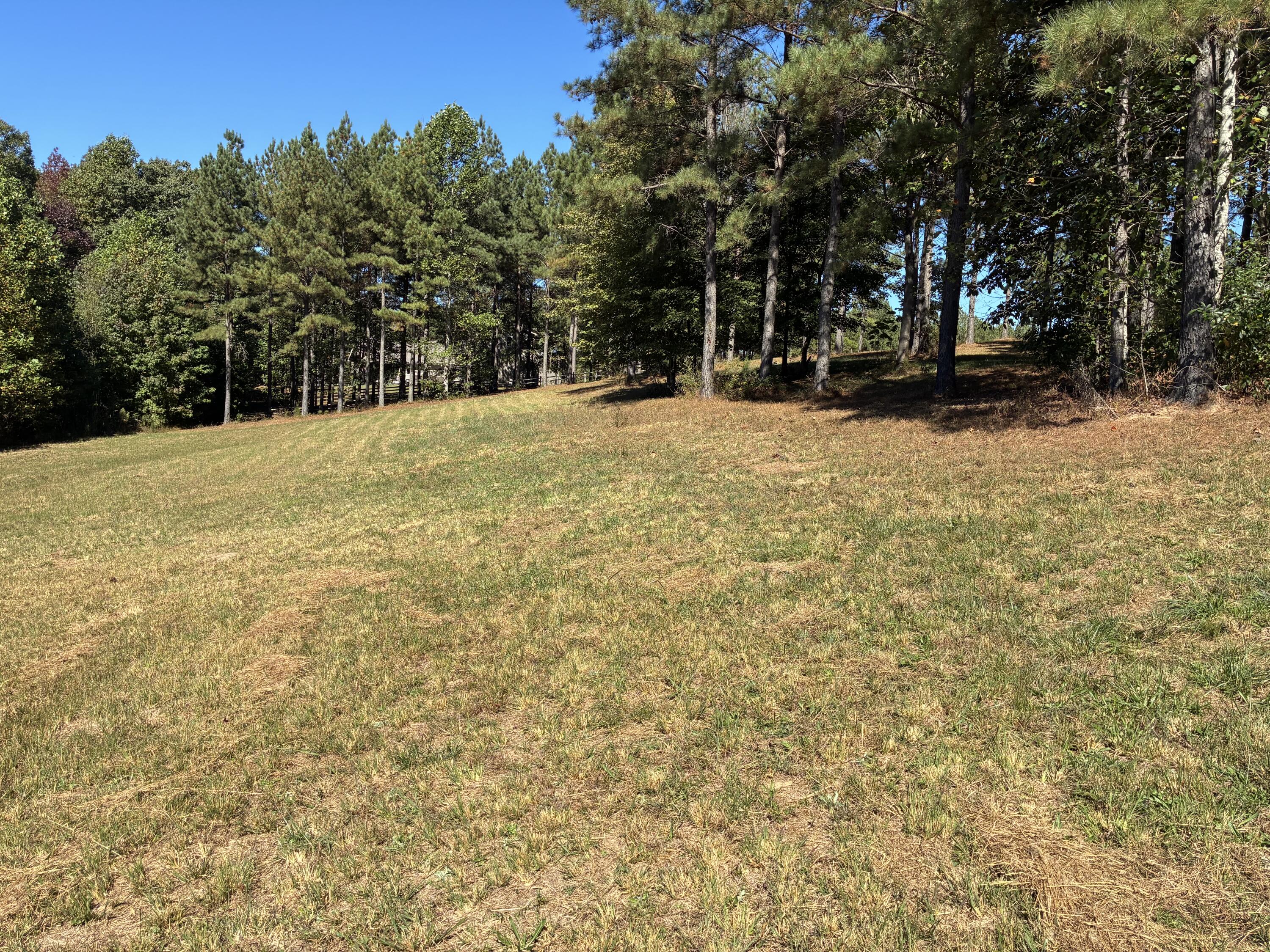 241 Pappy Road, 205