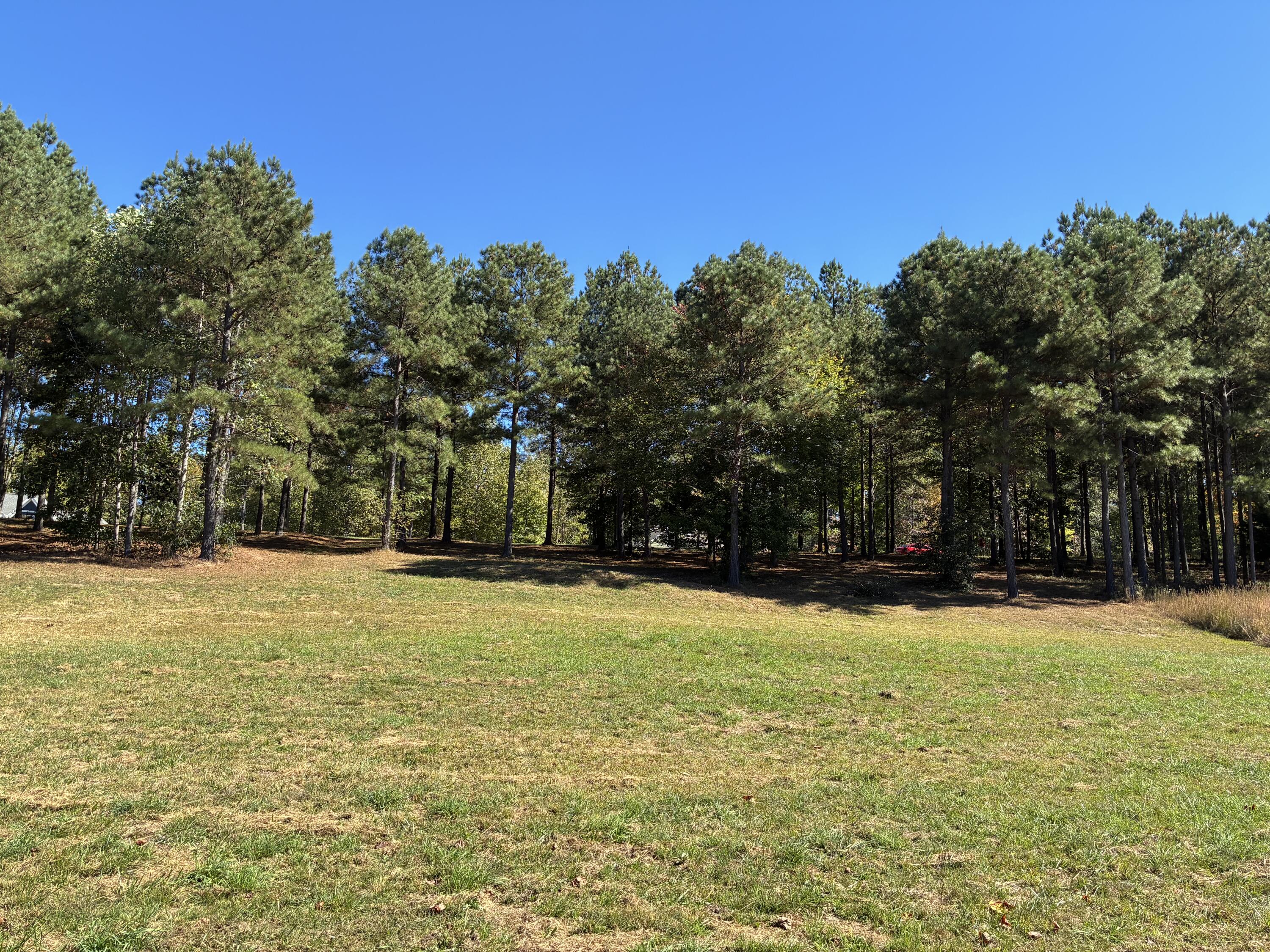 241 Pappy Road, 205