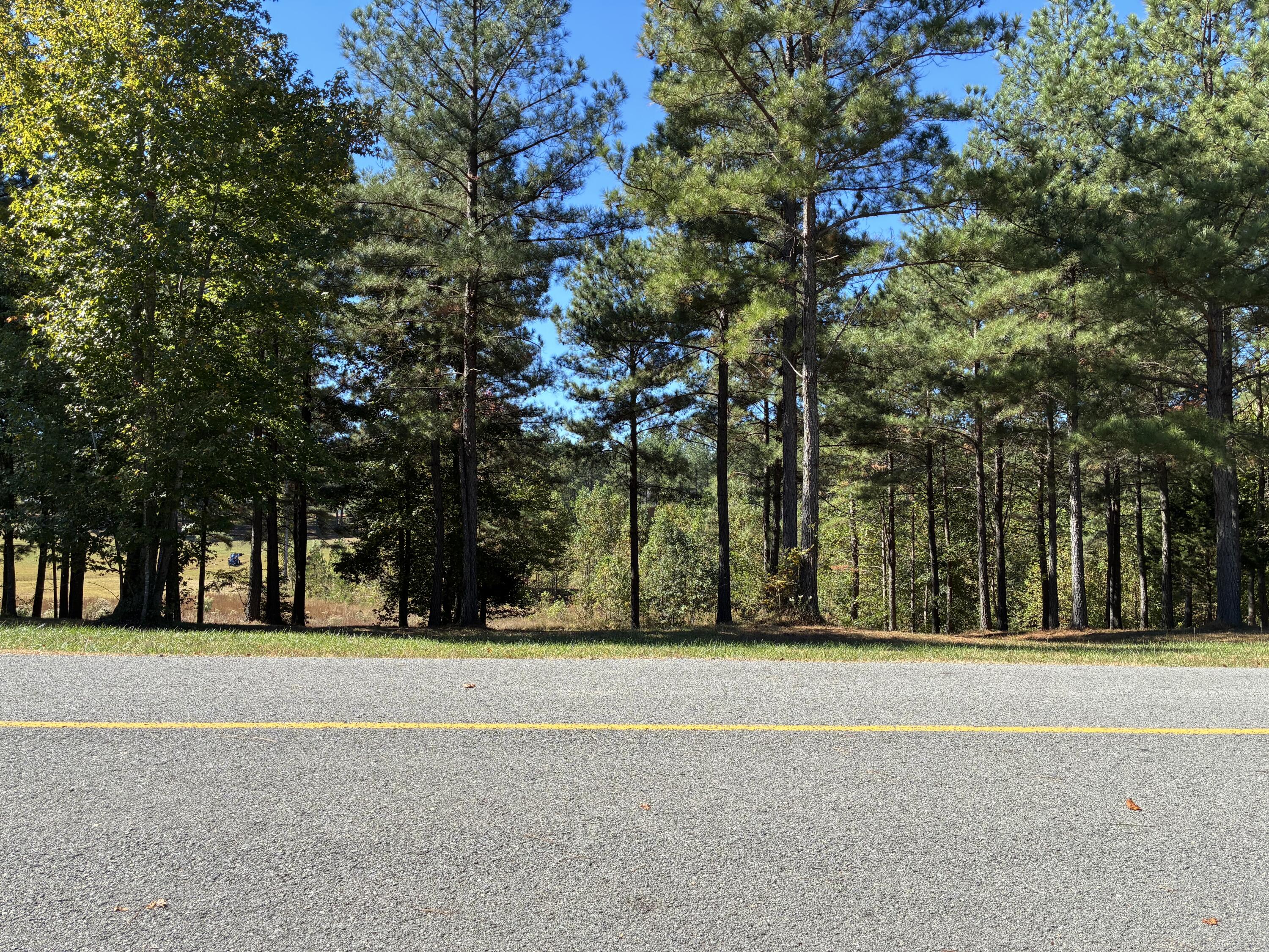 241 Pappy Road, 205