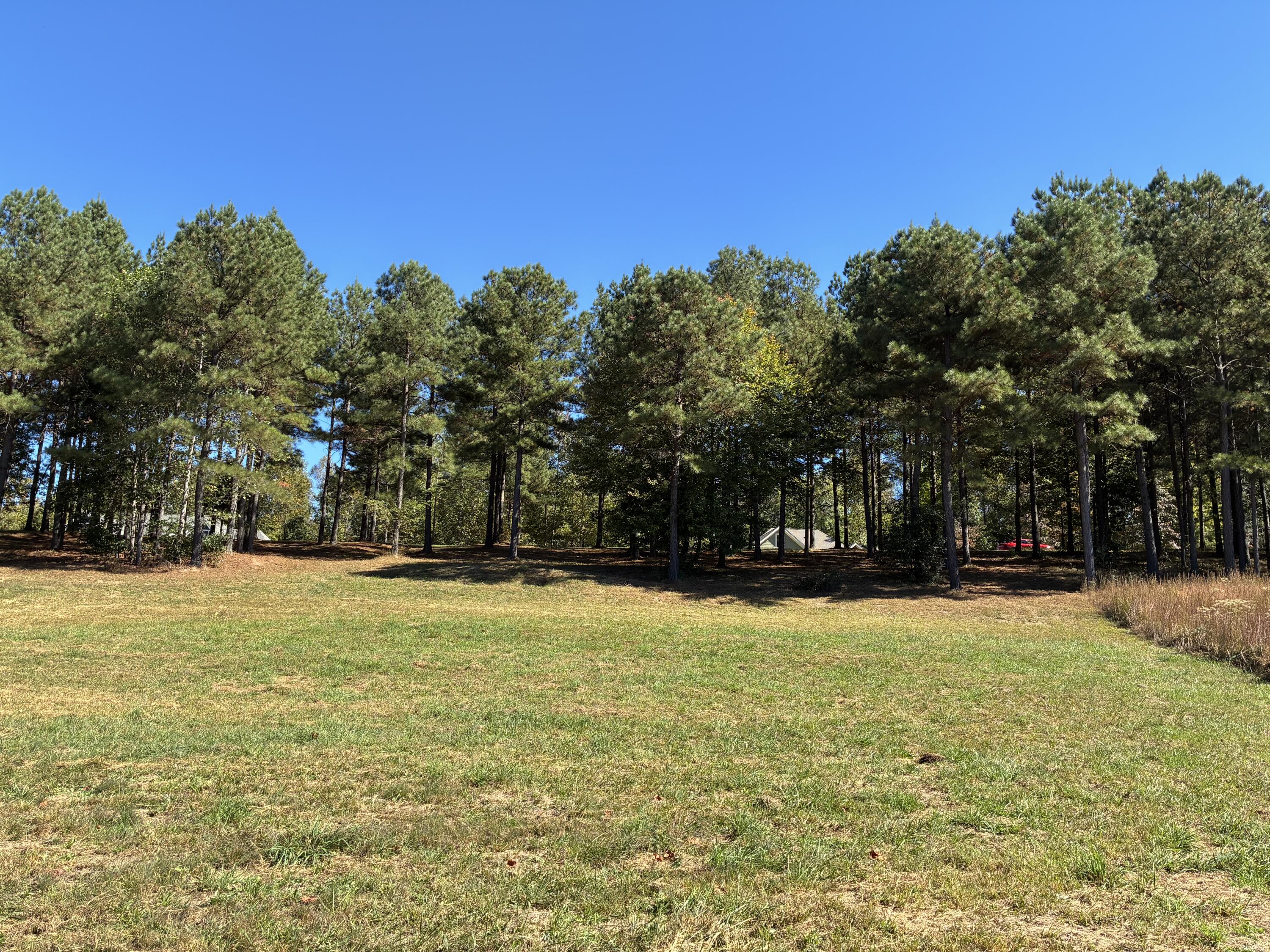 241 Pappy Road, 205