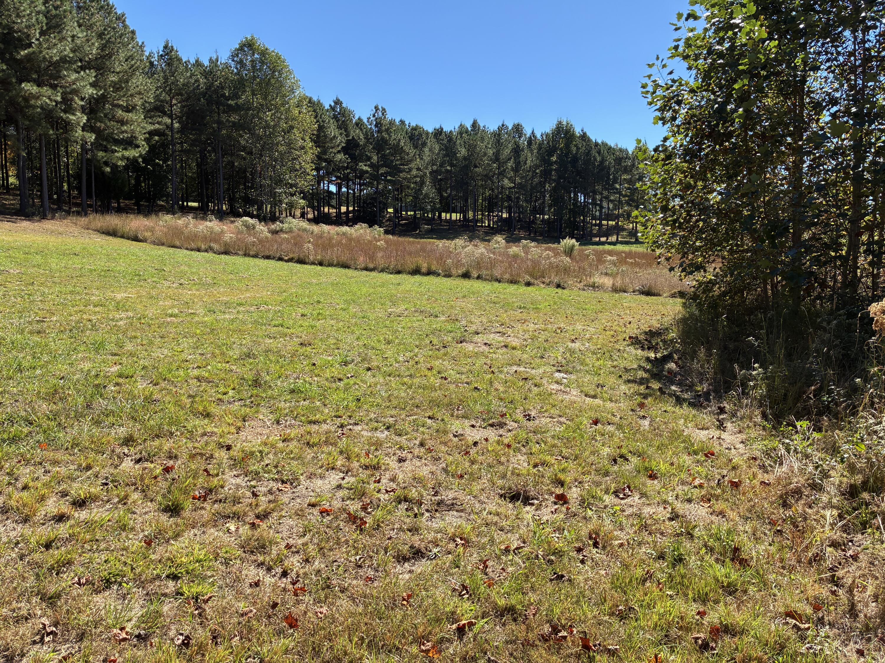 241 Pappy Road, 205