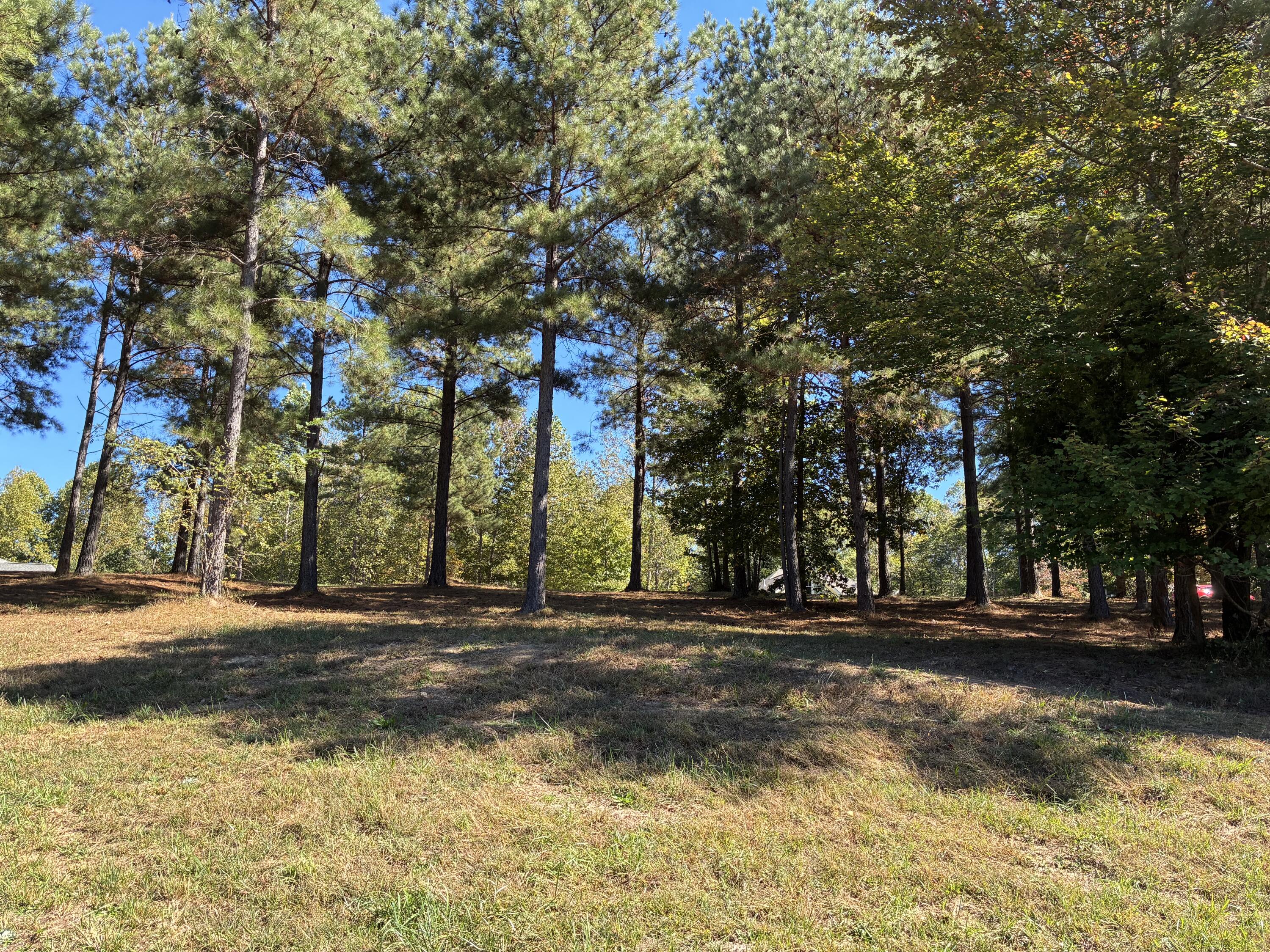 241 Pappy Road, 205