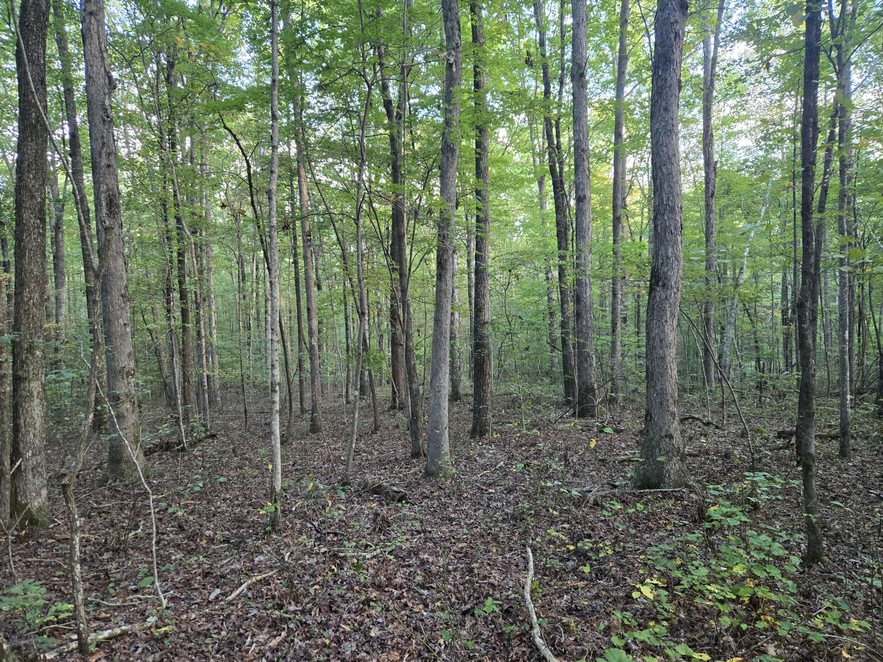 1 Three Forks Road, Lot 6