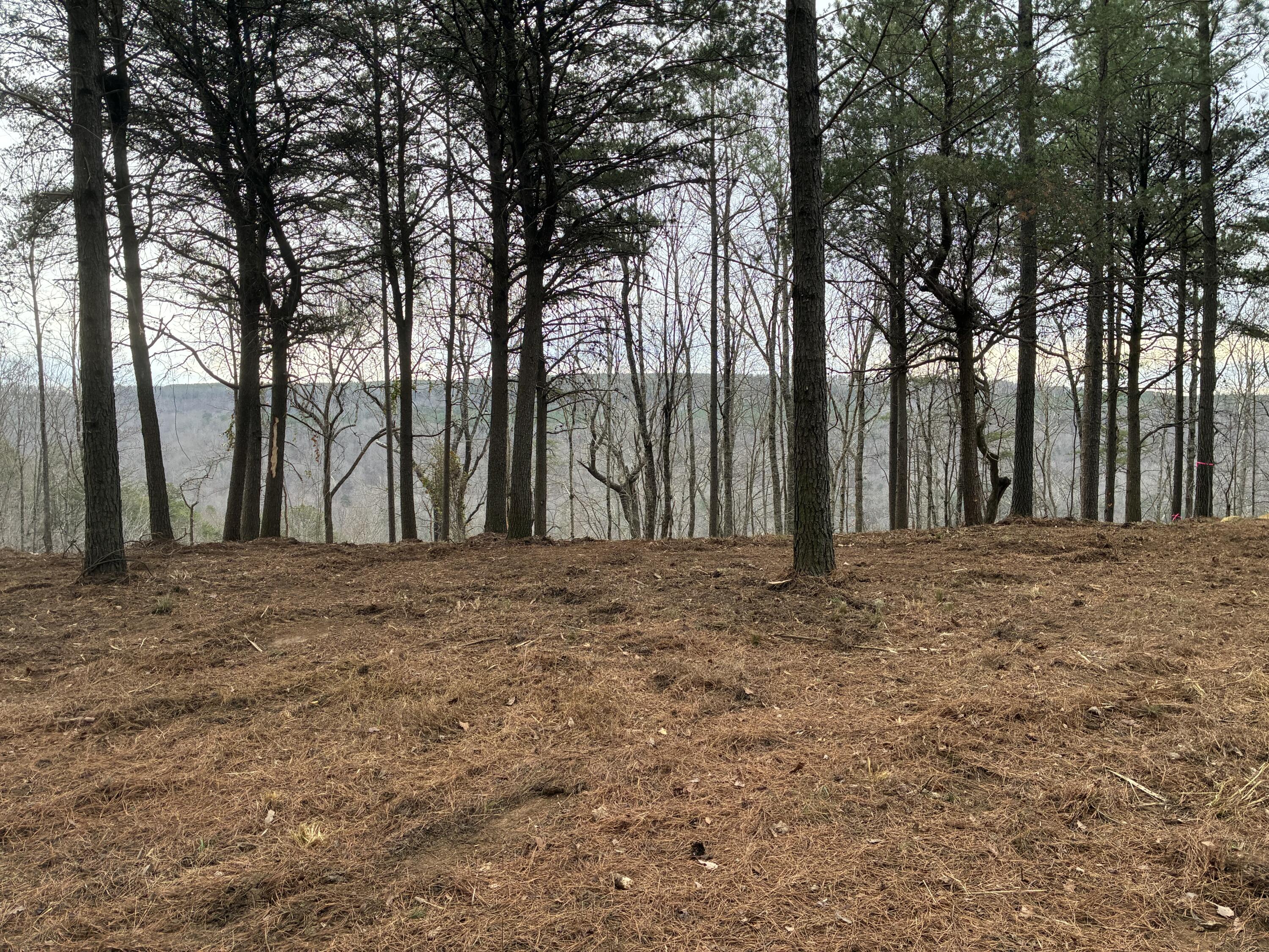 4690 Split Rail Way, 1359