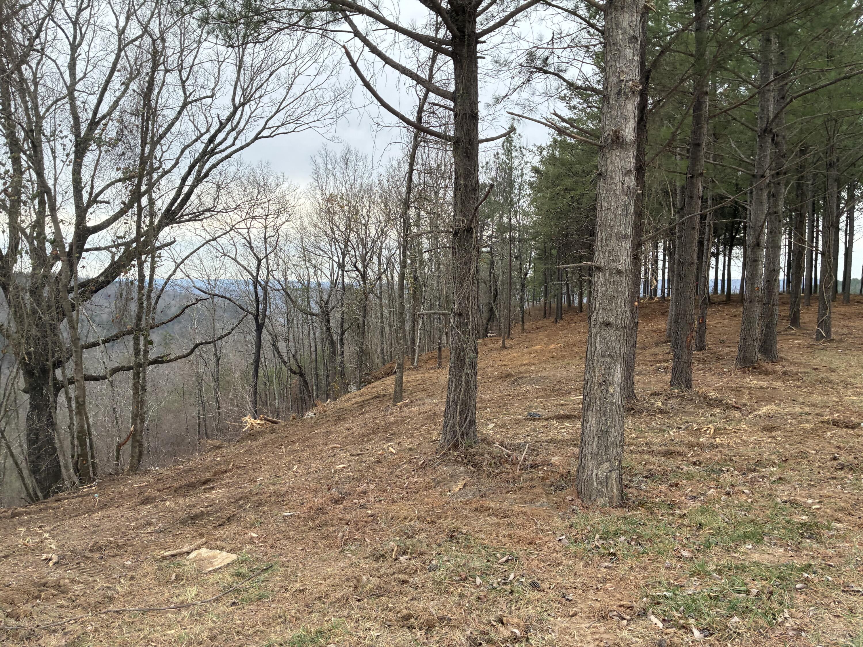 4690 Split Rail Way, 1359