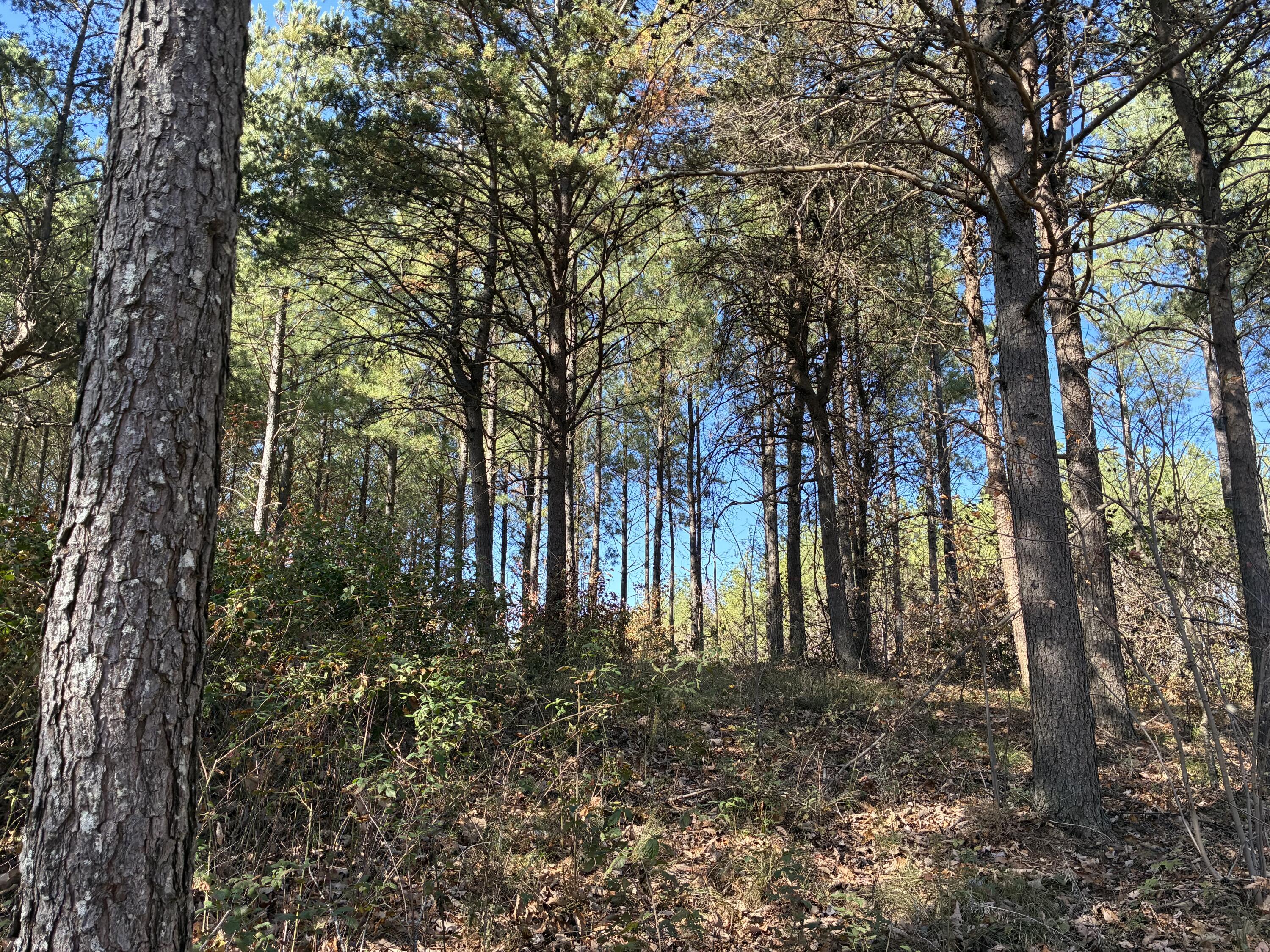 4690 Split Rail Way, 1359