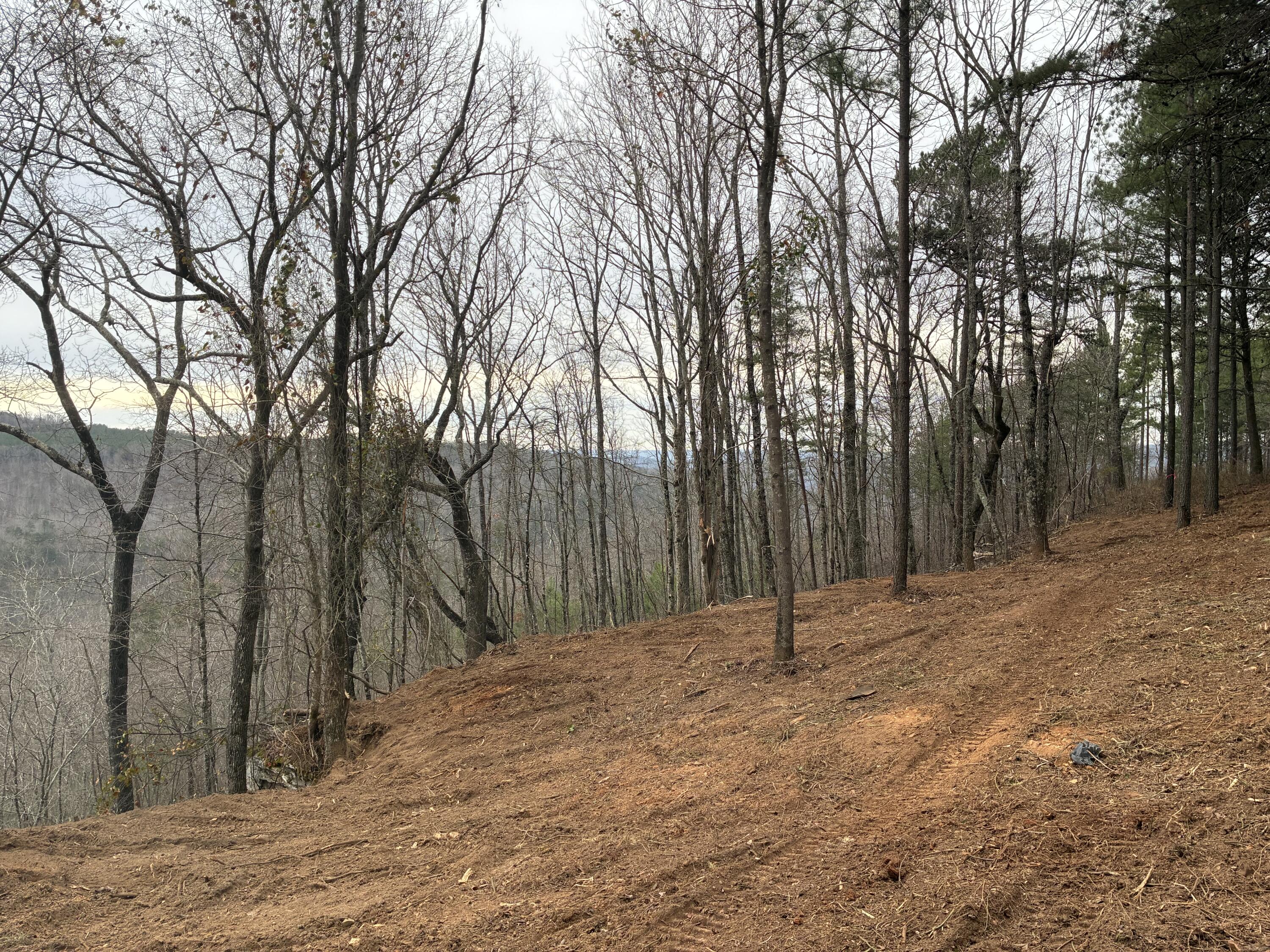 4690 Split Rail Way, 1359