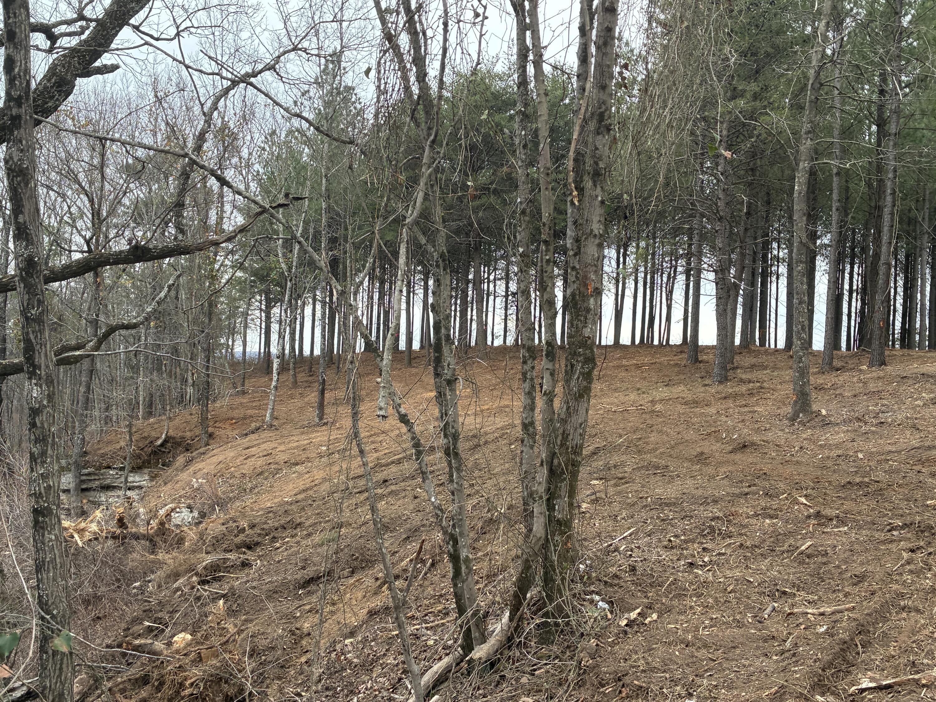 4690 Split Rail Way, 1359