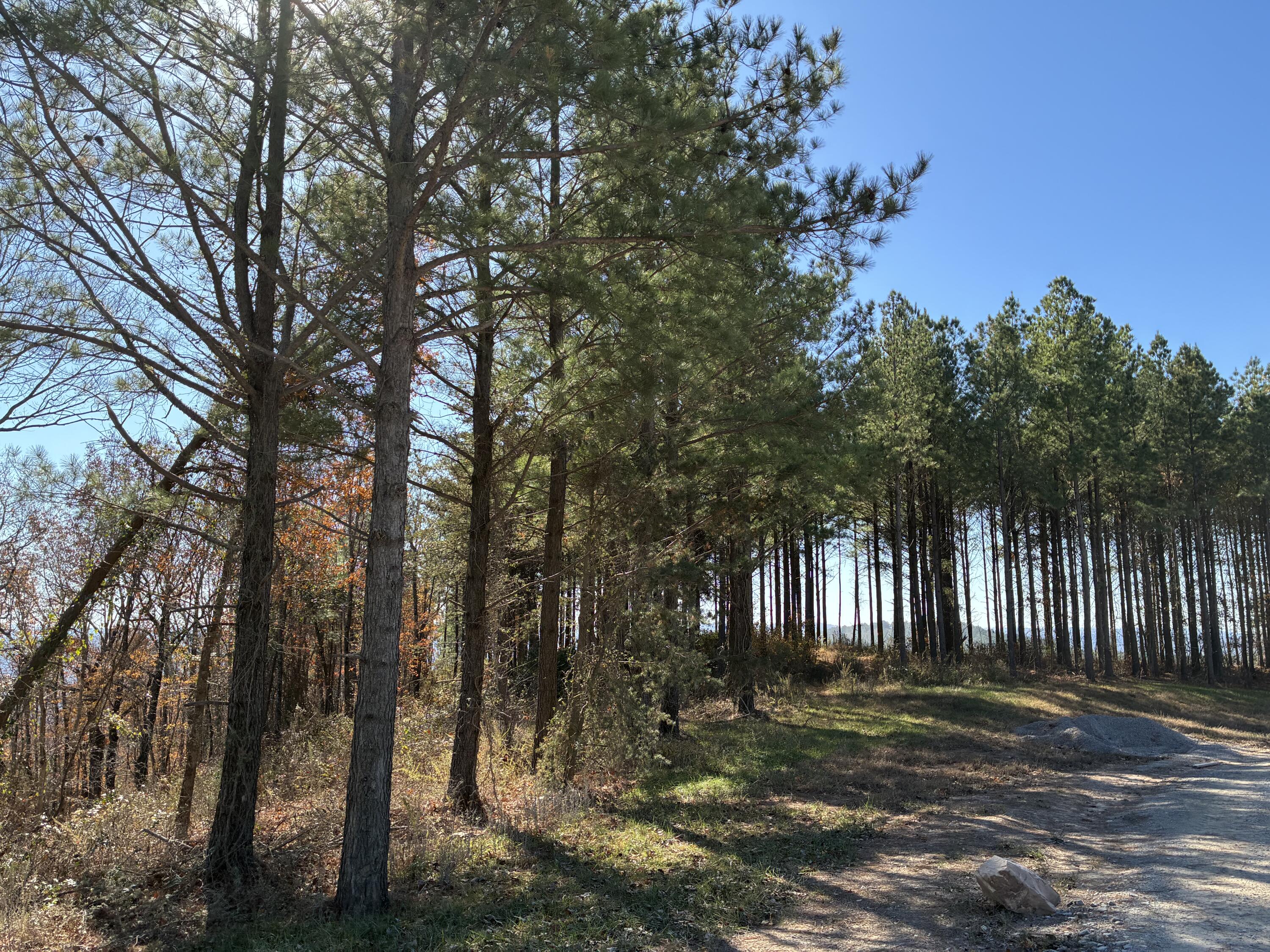 4690 Split Rail Way, 1359