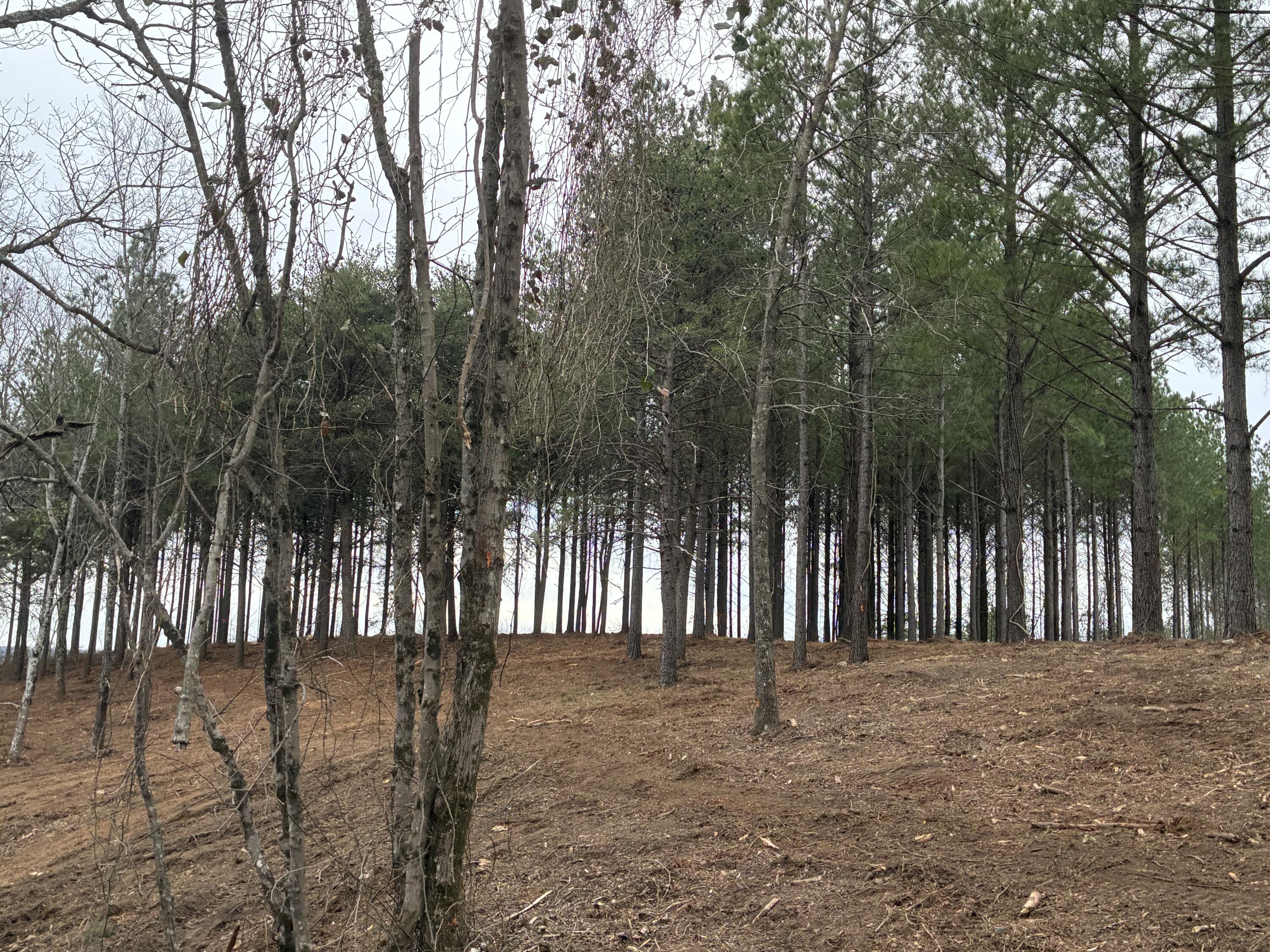 4690 Split Rail Way, 1359