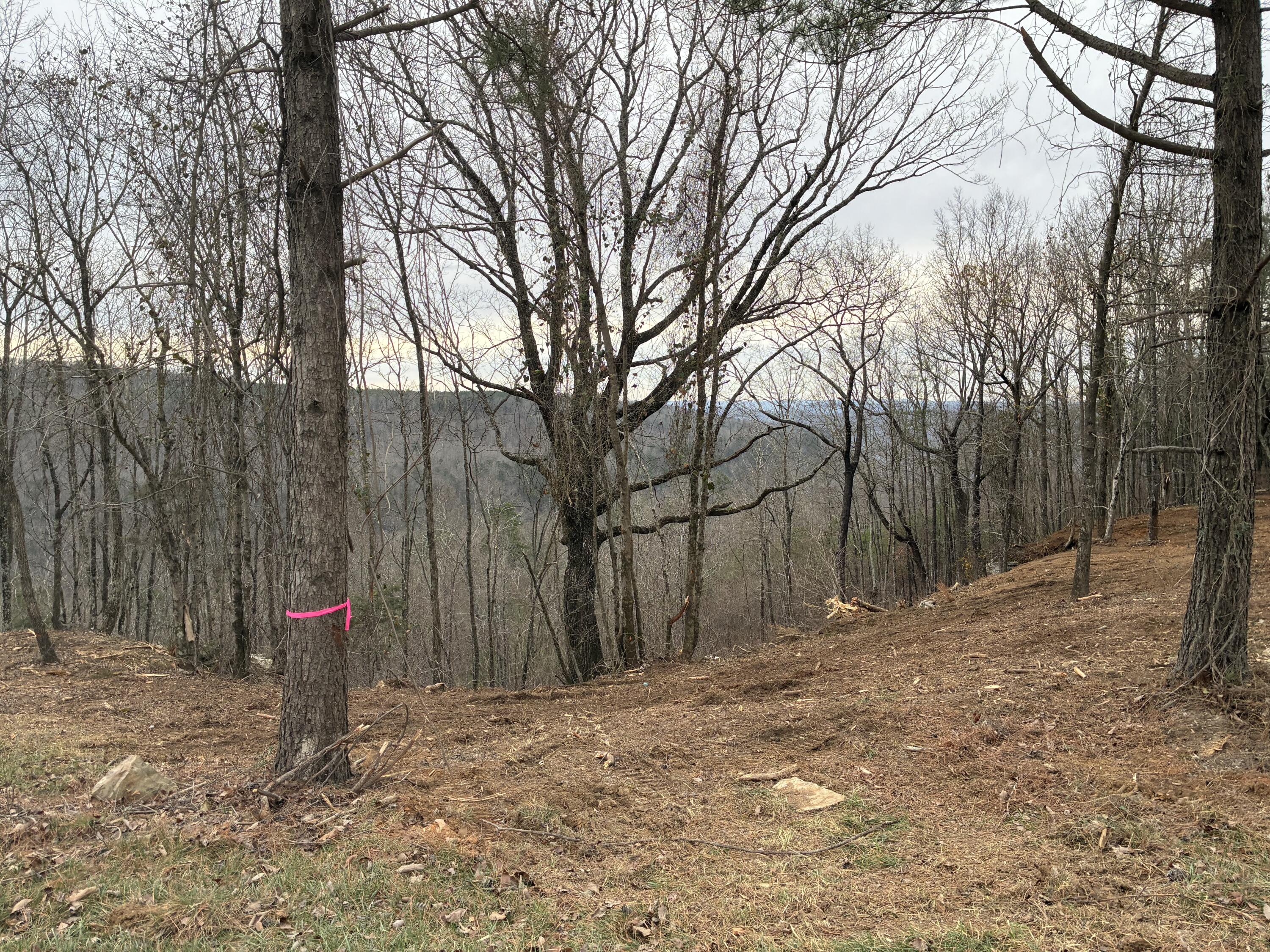 4690 Split Rail Way, 1359