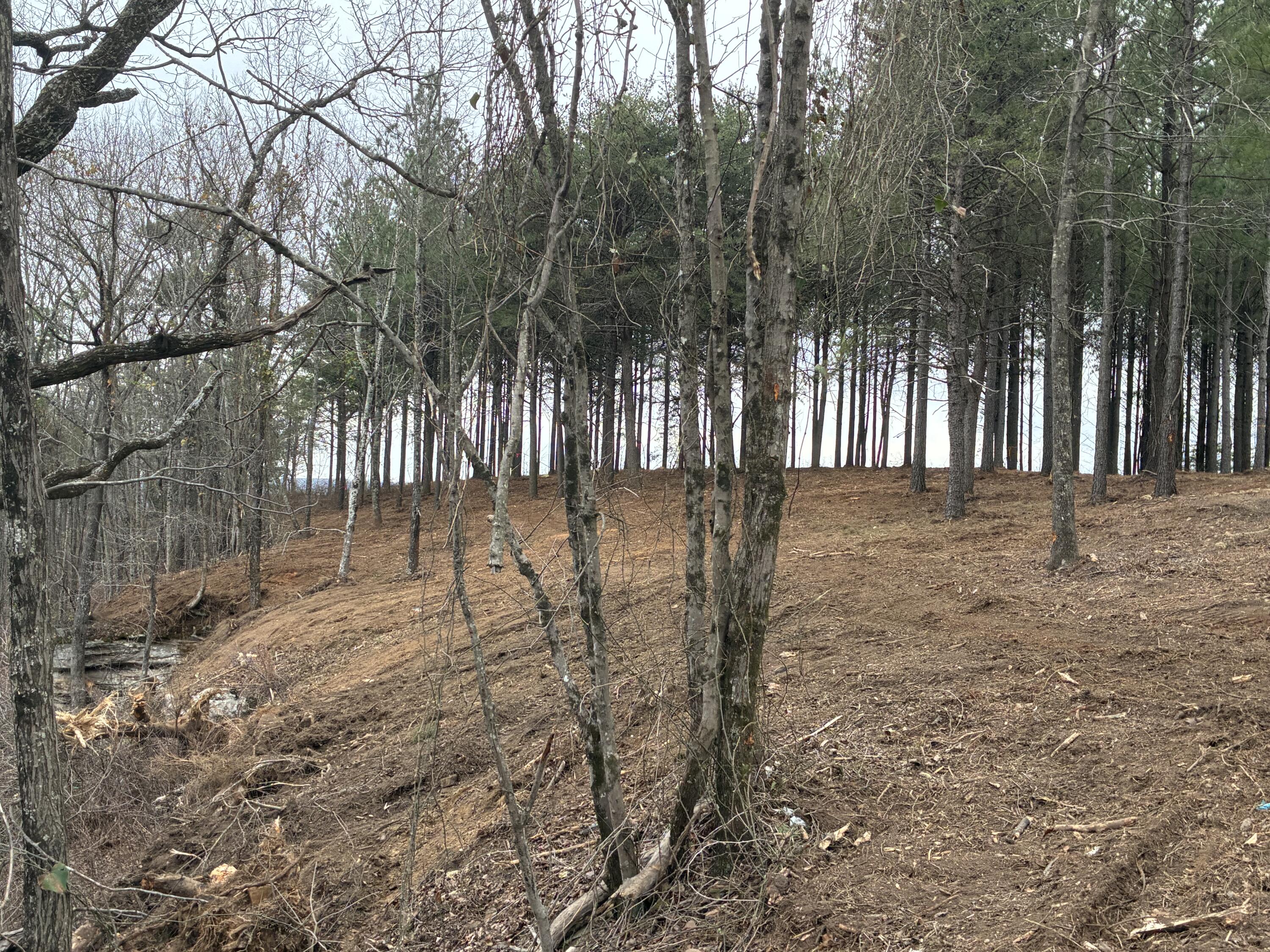 4690 Split Rail Way, 1359