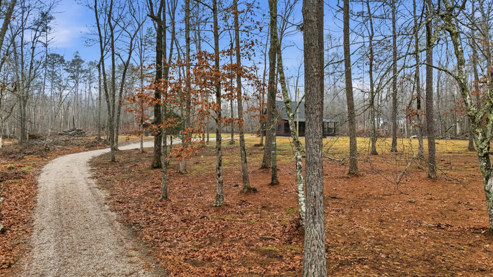1655 Gizzard Creek Road