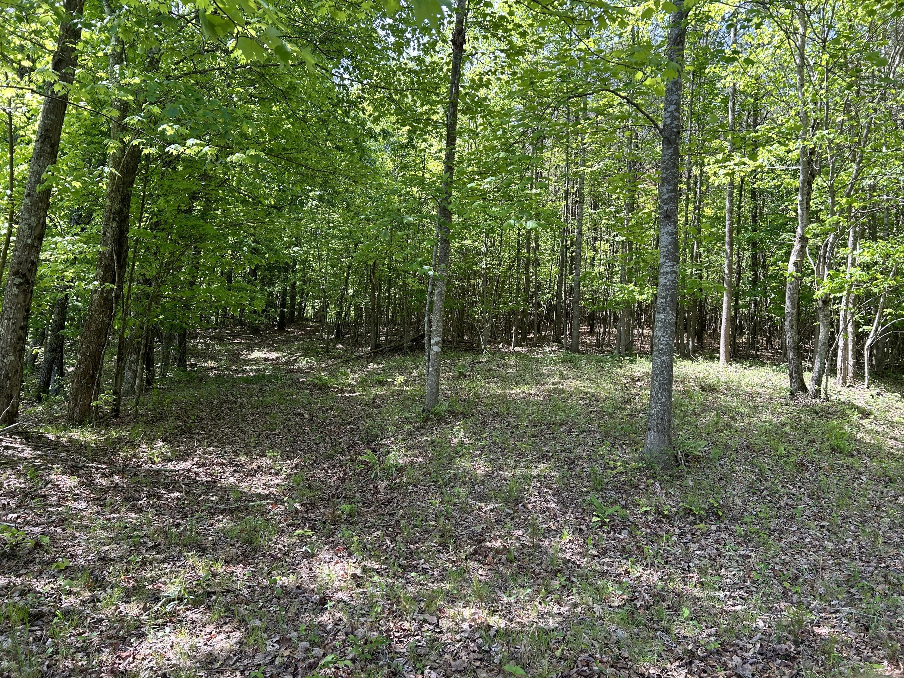 250 Bear Trace Drive, Rb-200