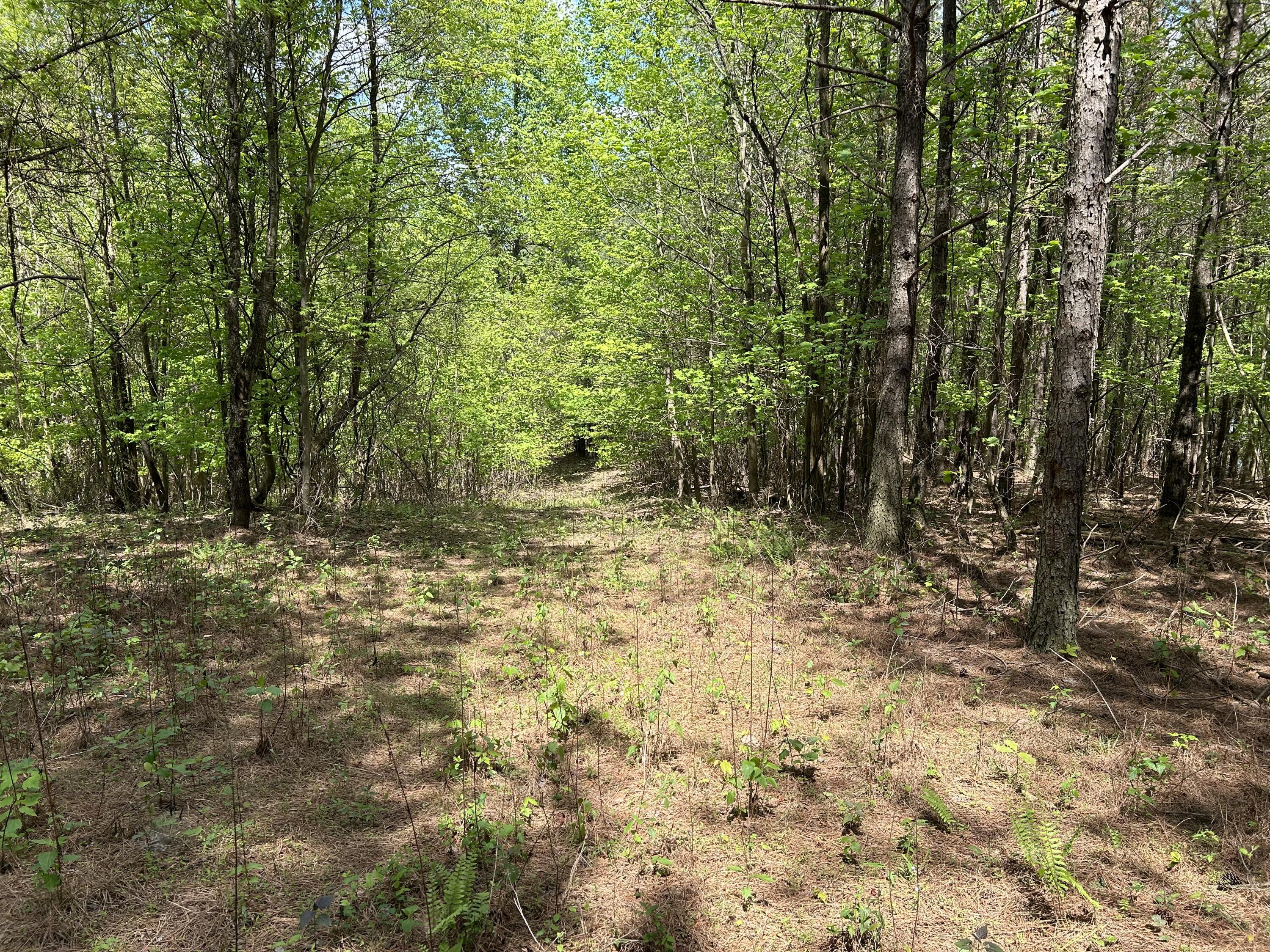 250 Bear Trace Drive, Rb-200