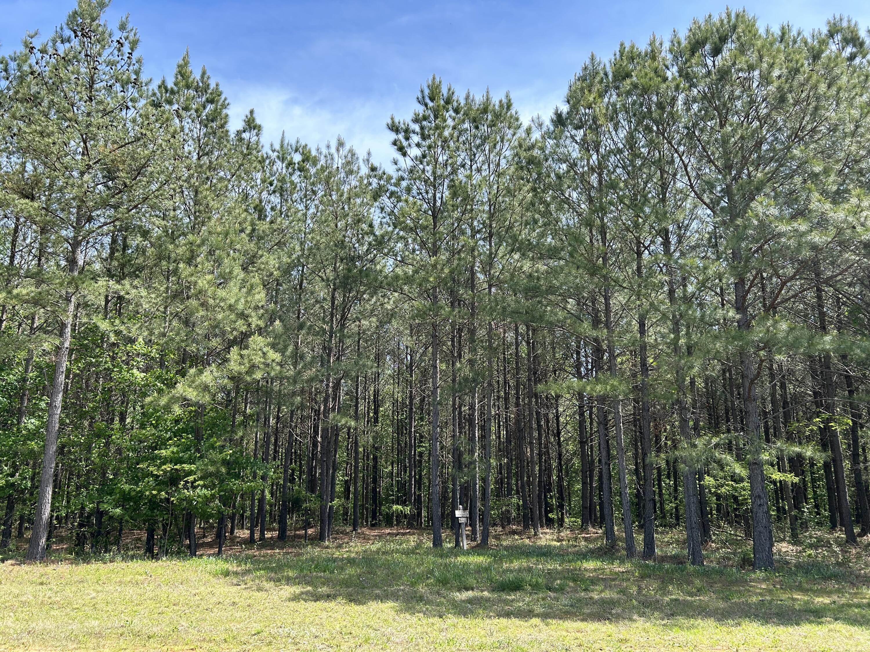 250 Bear Trace Drive, Rb-200