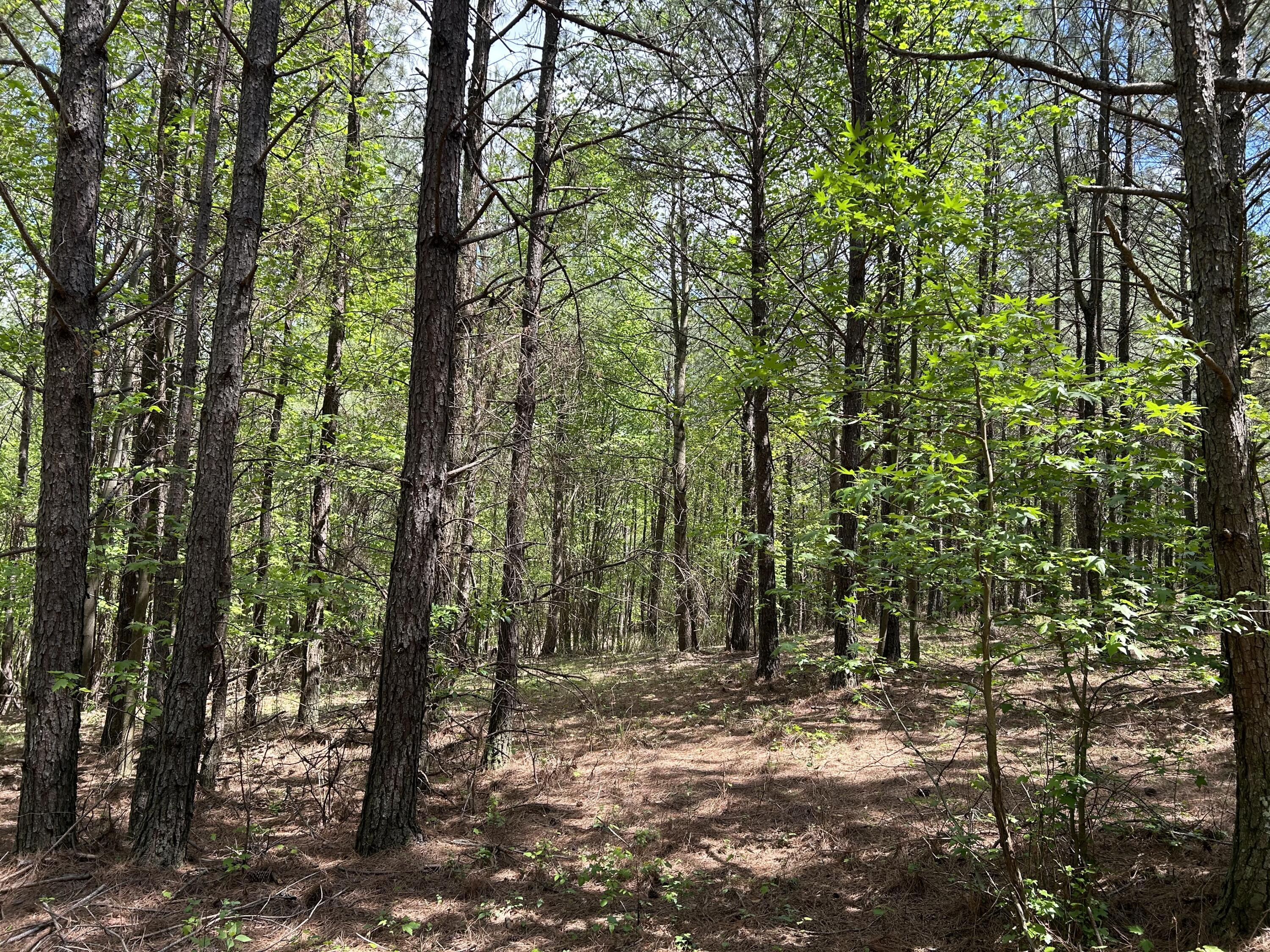 250 Bear Trace Drive, Rb-200