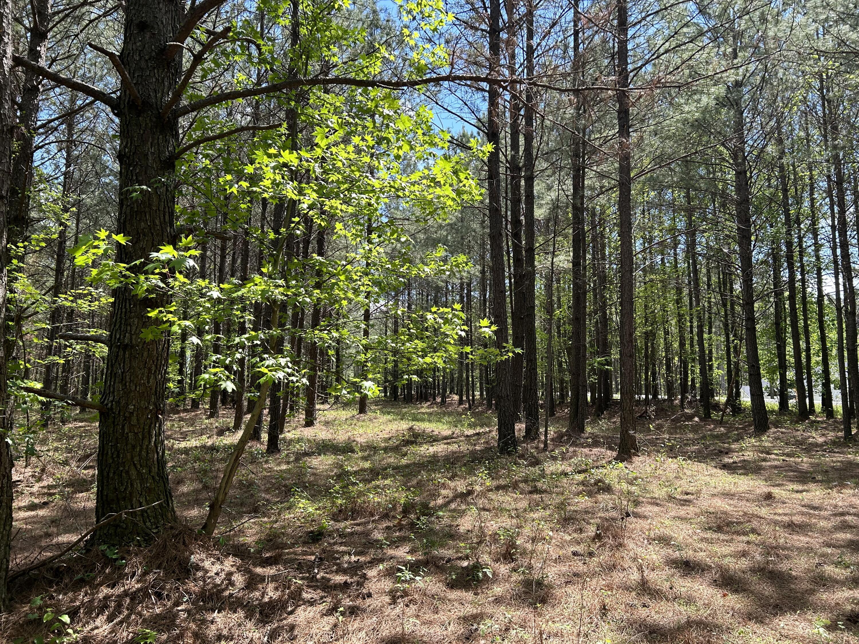 250 Bear Trace Drive, Rb-200
