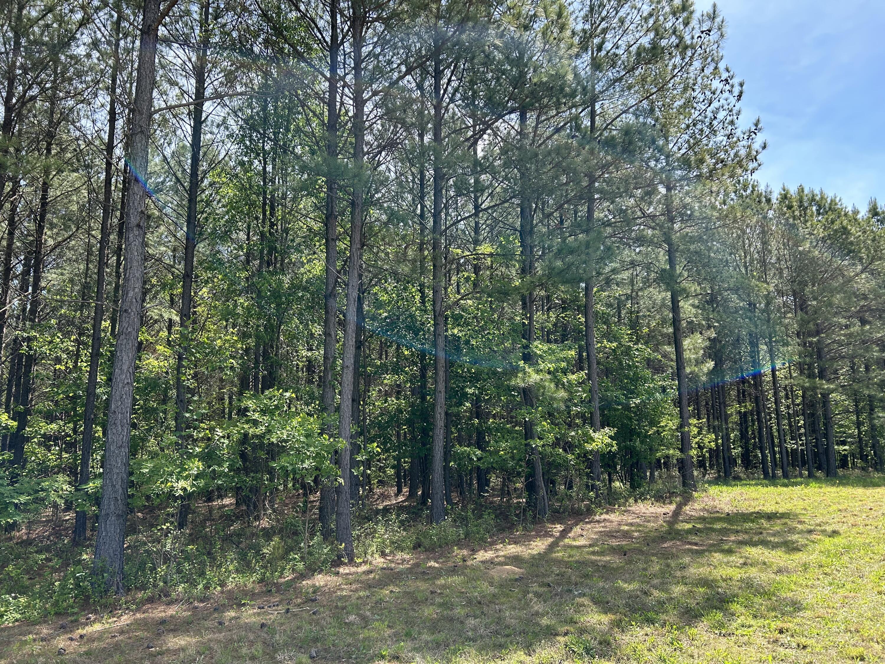 250 Bear Trace Drive, Rb-200