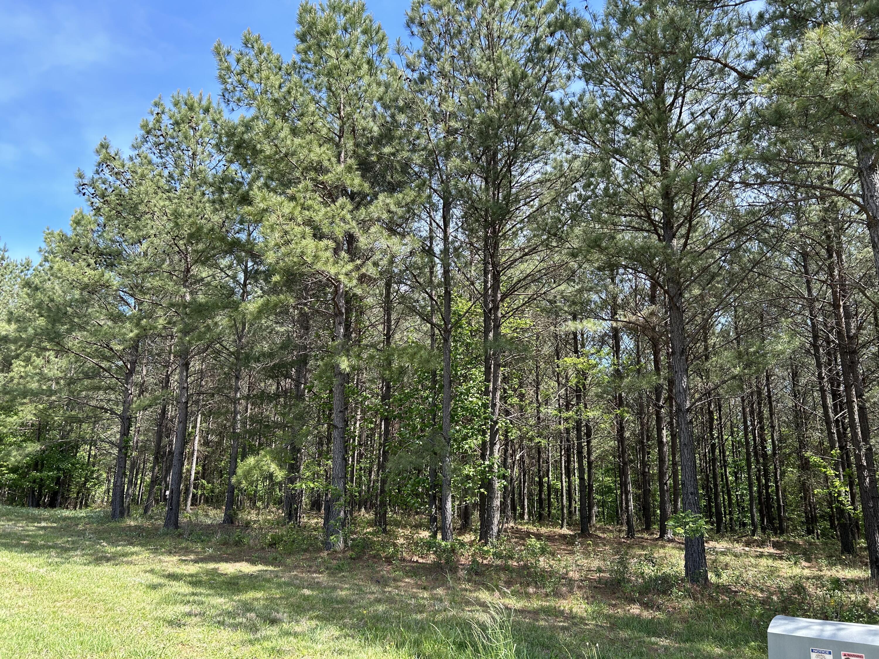 250 Bear Trace Drive, Rb-200