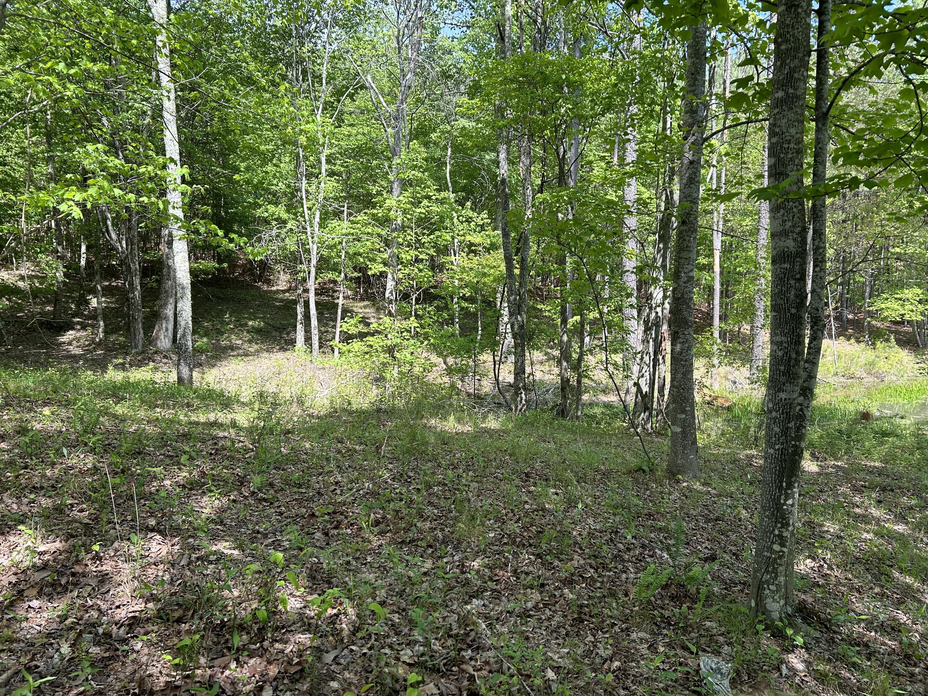 250 Bear Trace Drive, Rb-200