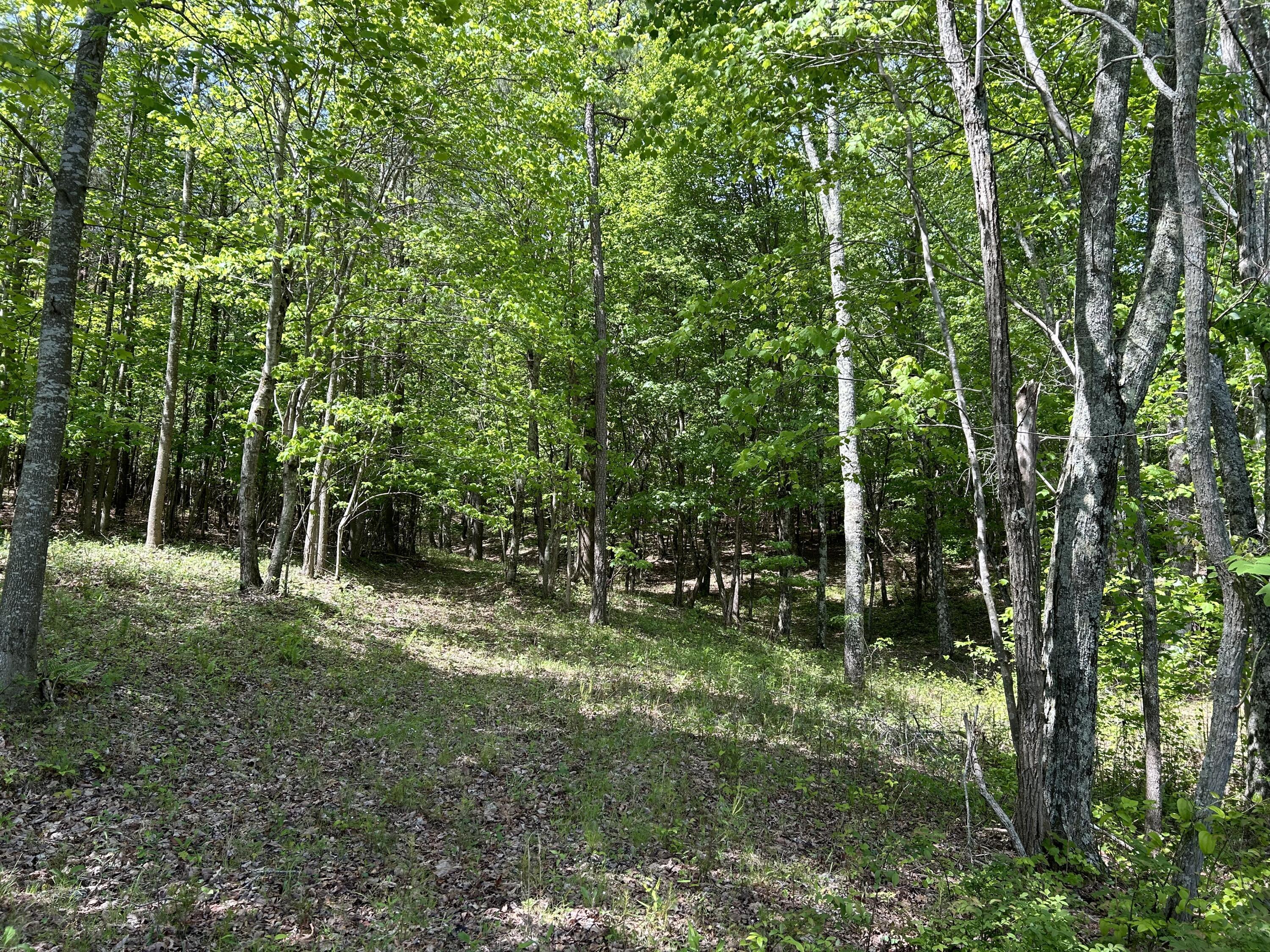 250 Bear Trace Drive, Rb-200