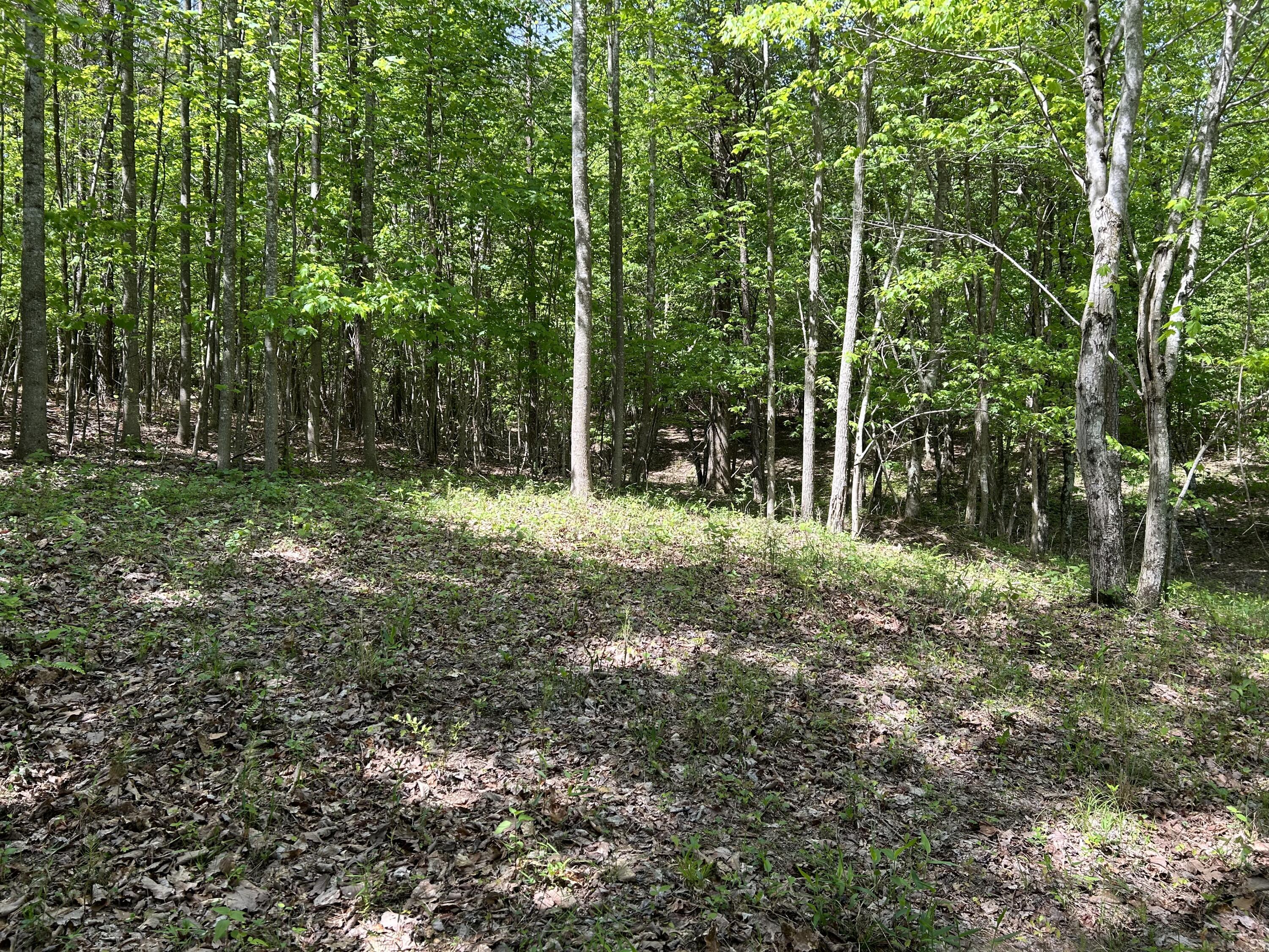 250 Bear Trace Drive, Rb-200