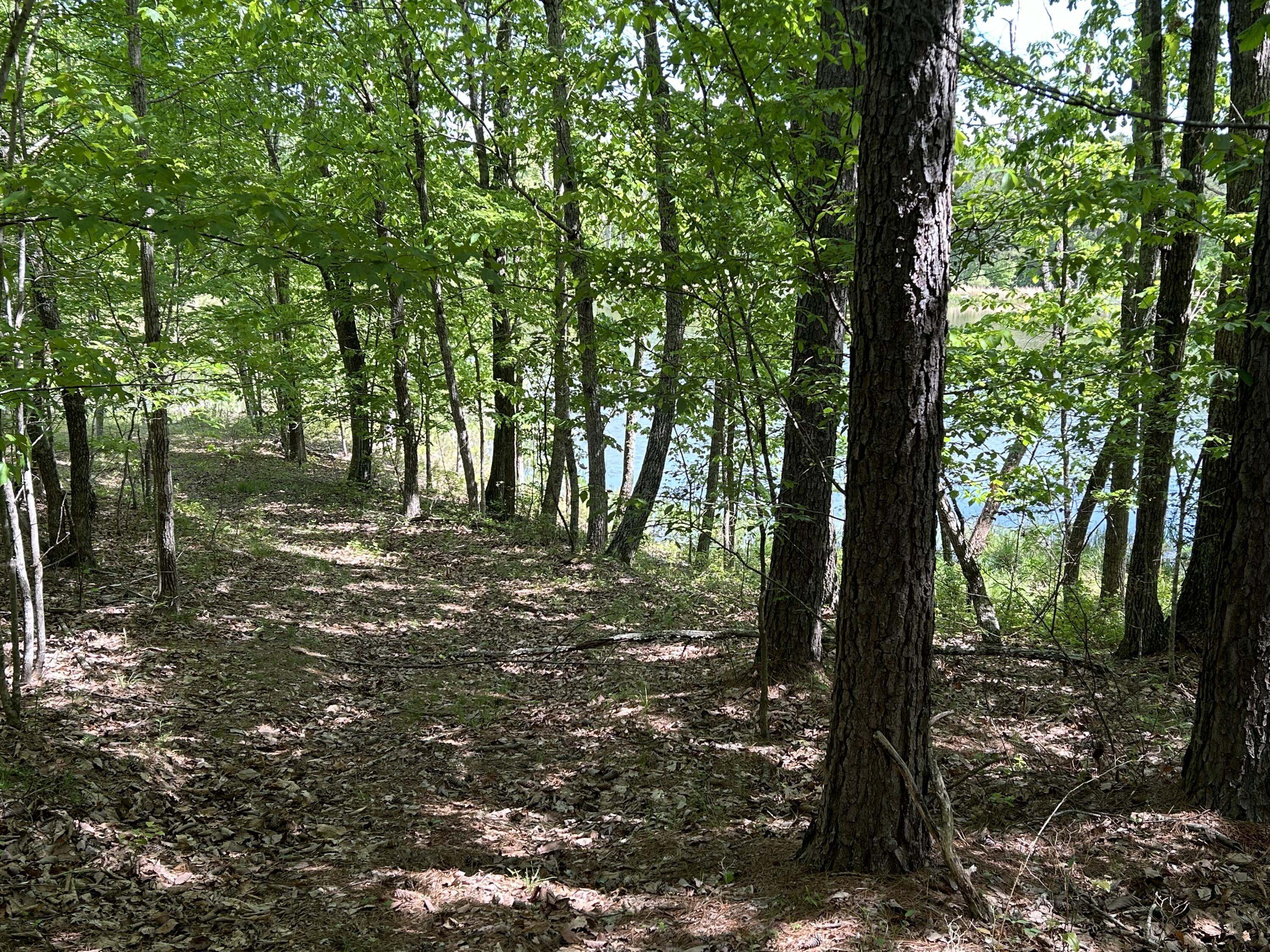 250 Bear Trace Drive, Rb-200