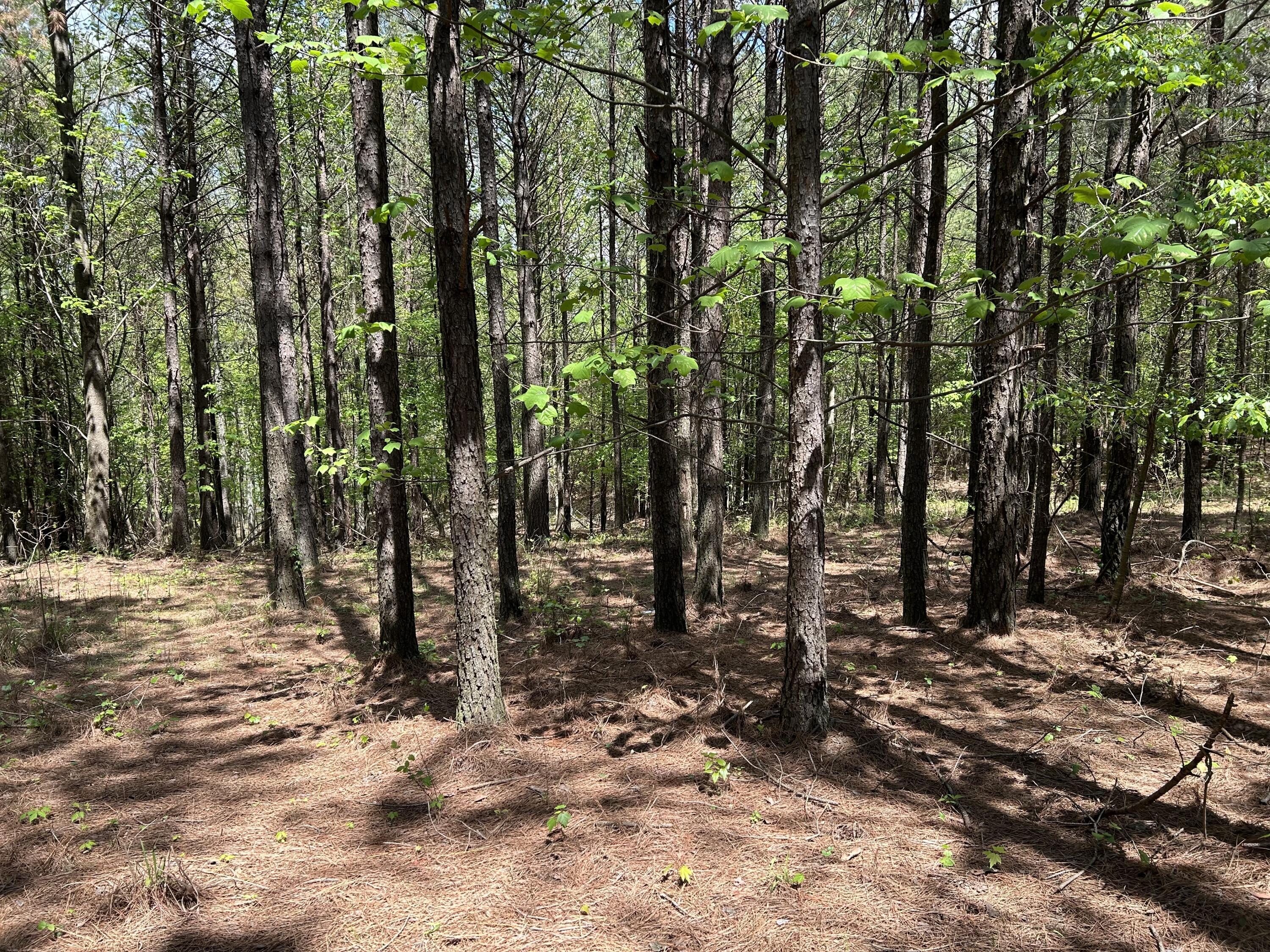 250 Bear Trace Drive, Rb-200