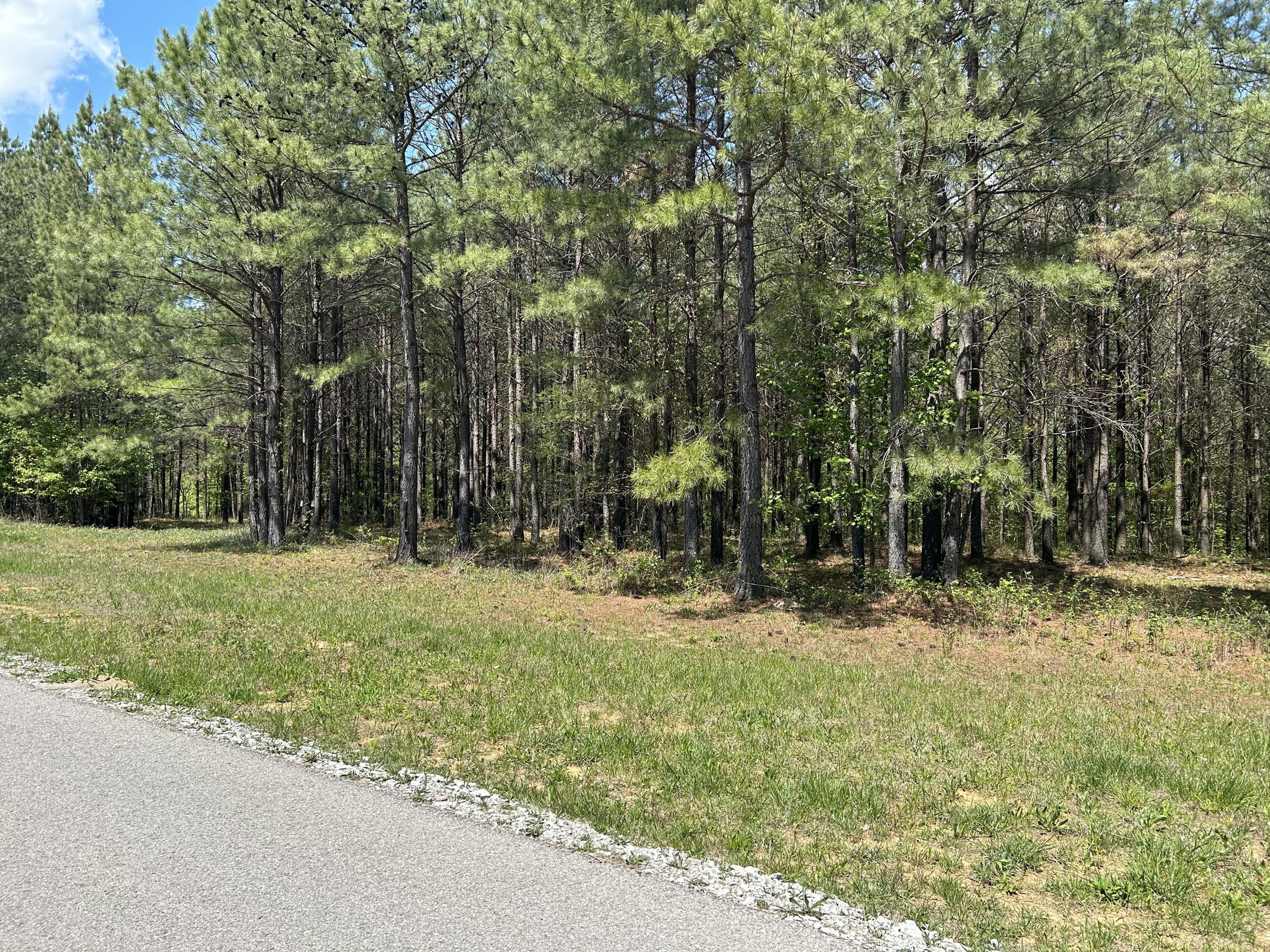 250 Bear Trace Drive, Rb-200