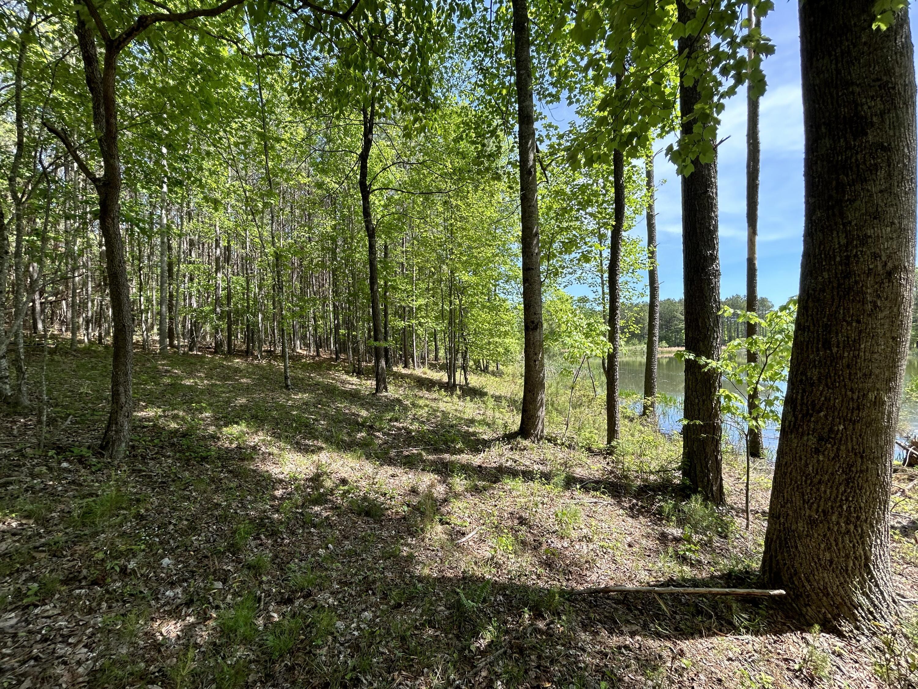 290 Bear Trace Drive, Rb-201