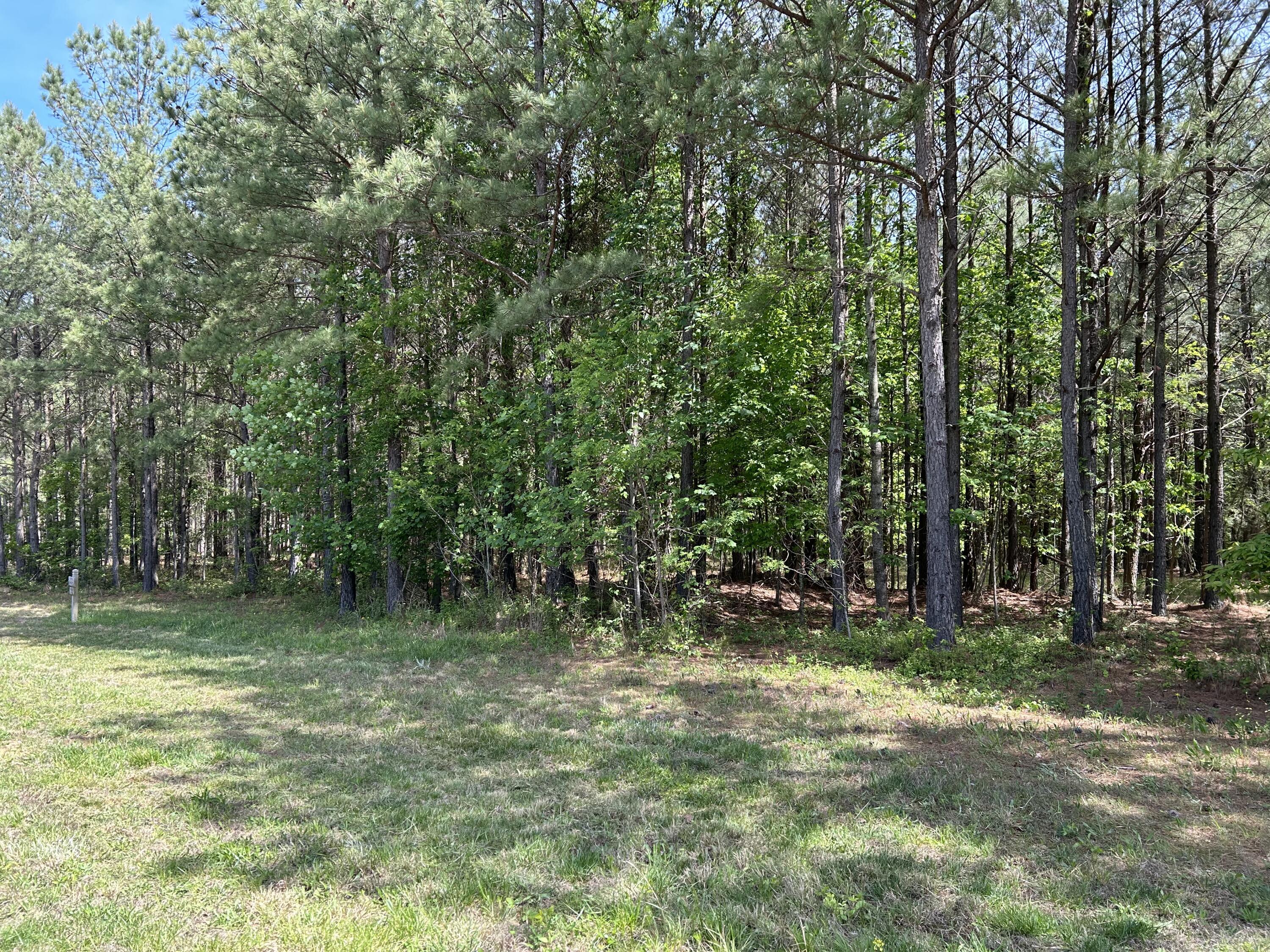 290 Bear Trace Drive, Rb-201