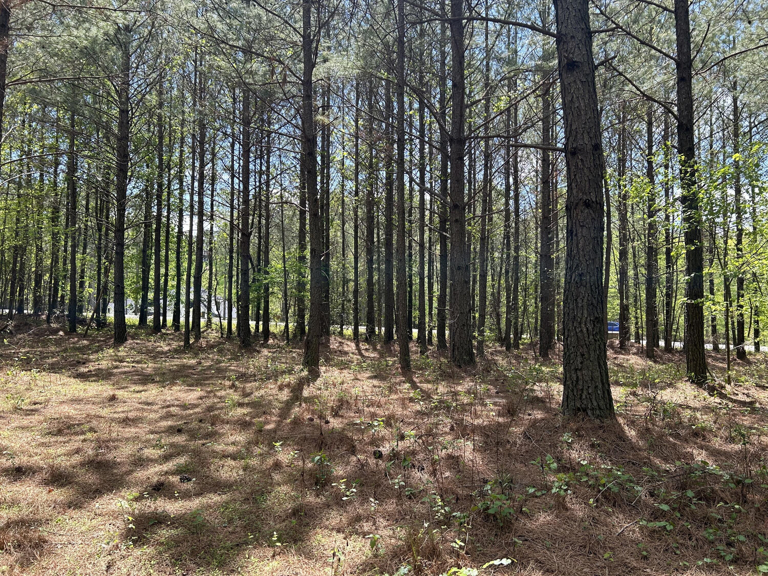 290 Bear Trace Drive, Rb-201