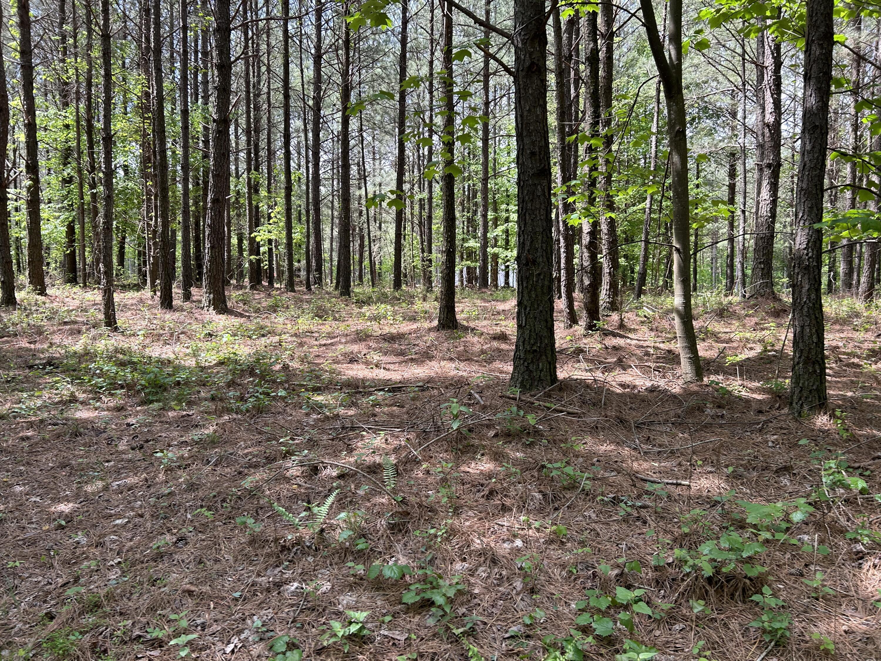 290 Bear Trace Drive, Rb-201
