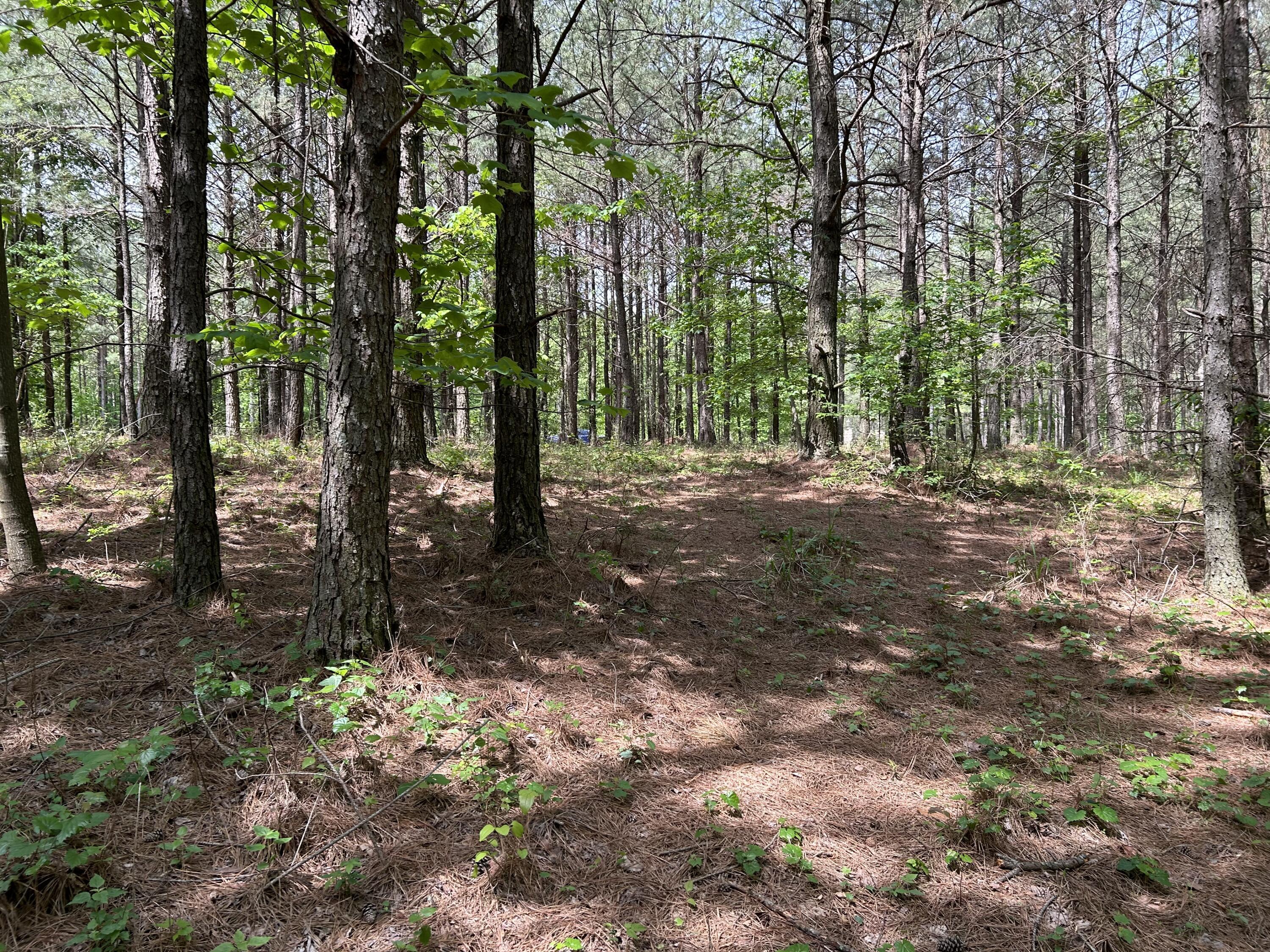 290 Bear Trace Drive, Rb-201