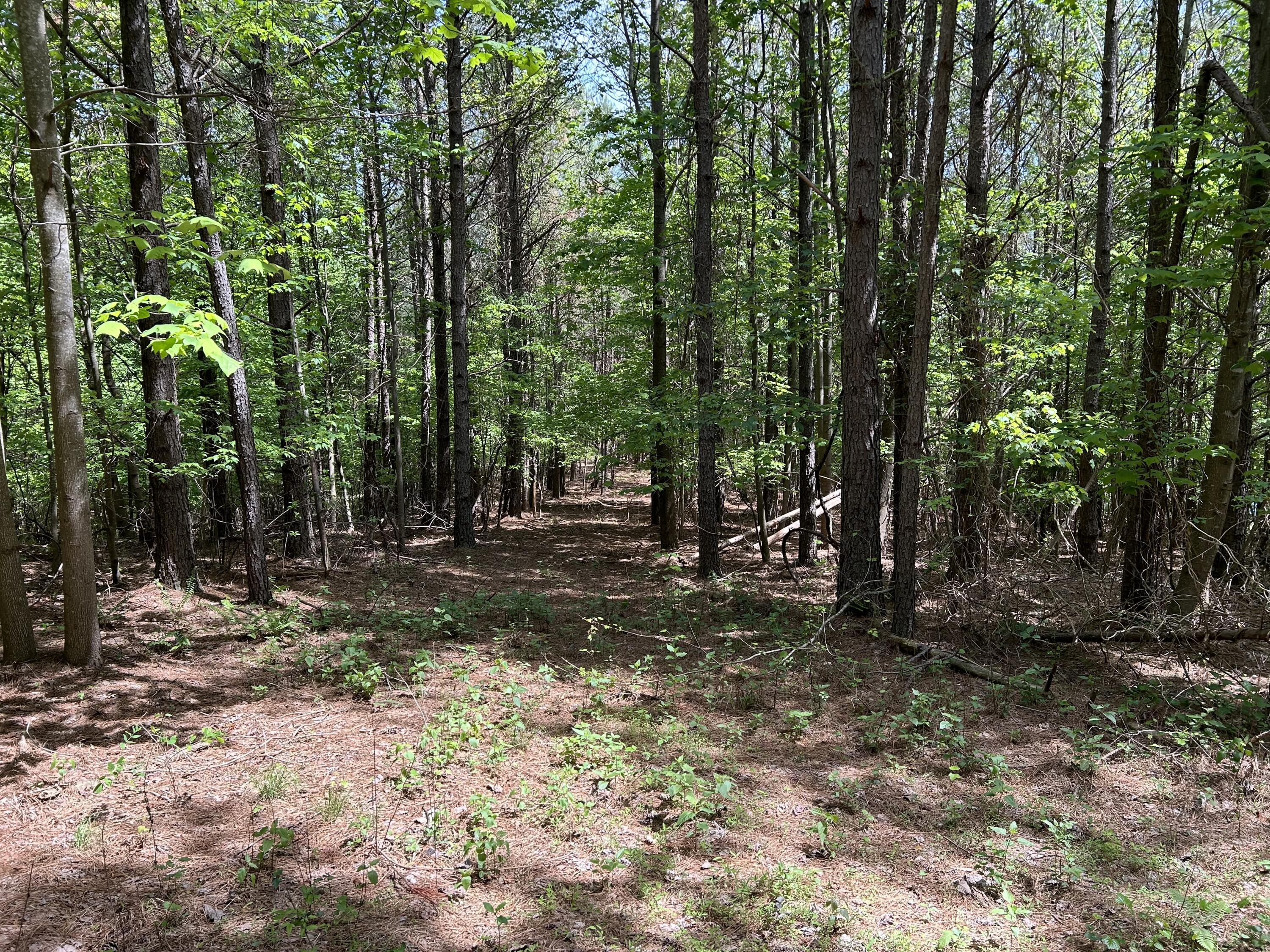 290 Bear Trace Drive, Rb-201