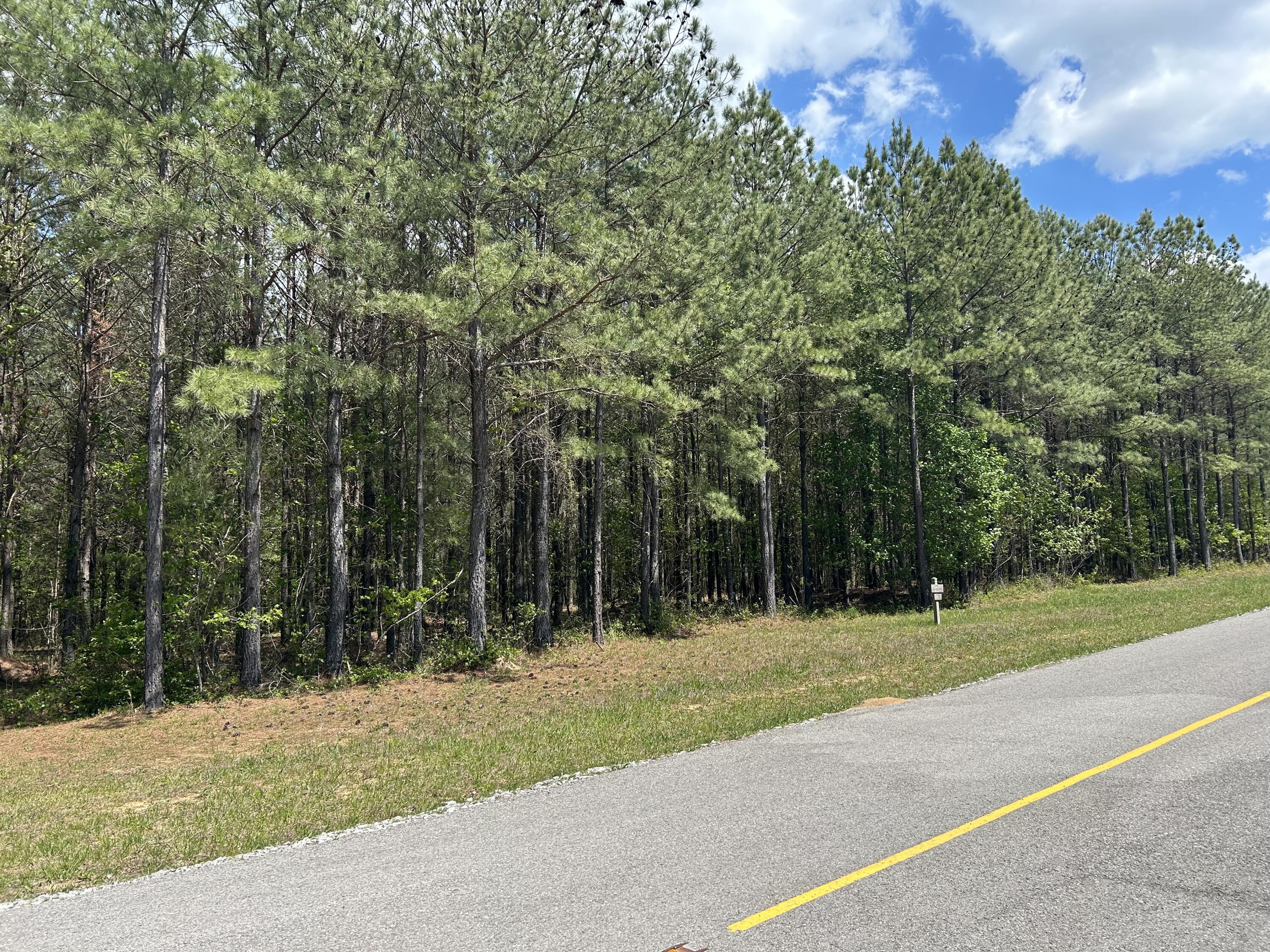 290 Bear Trace Drive, Rb-201