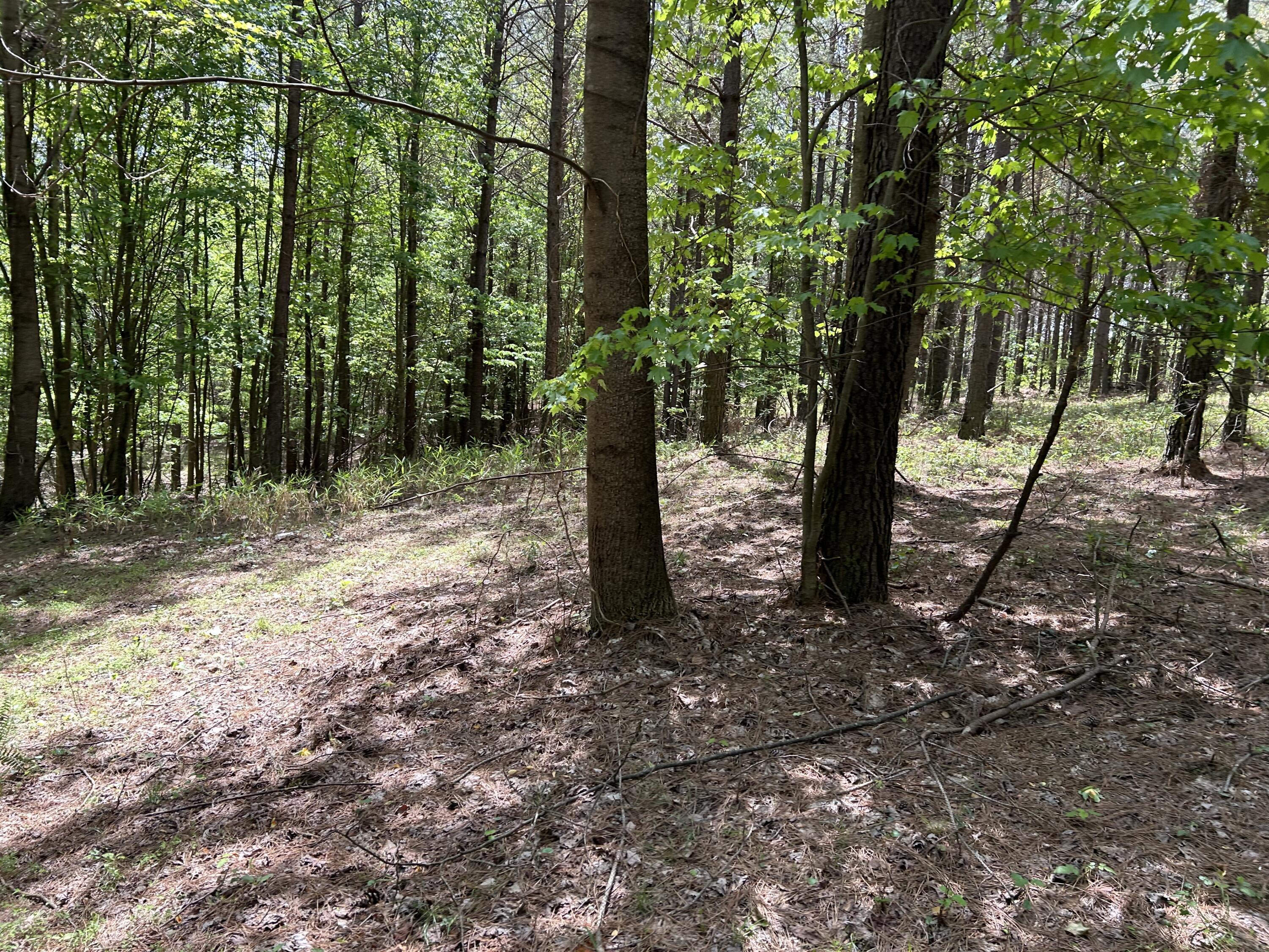 290 Bear Trace Drive, Rb-201