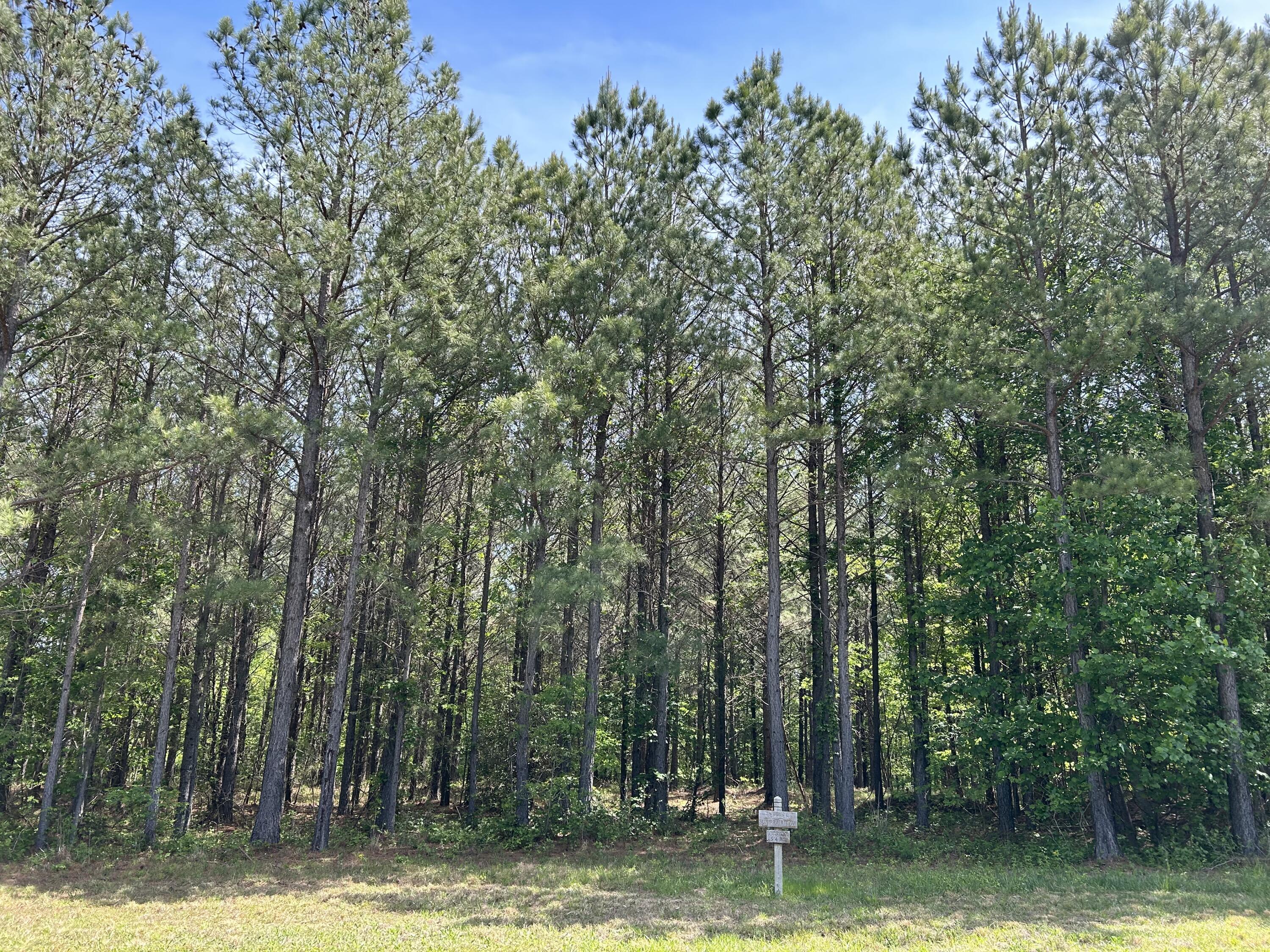 290 Bear Trace Drive, Rb-201