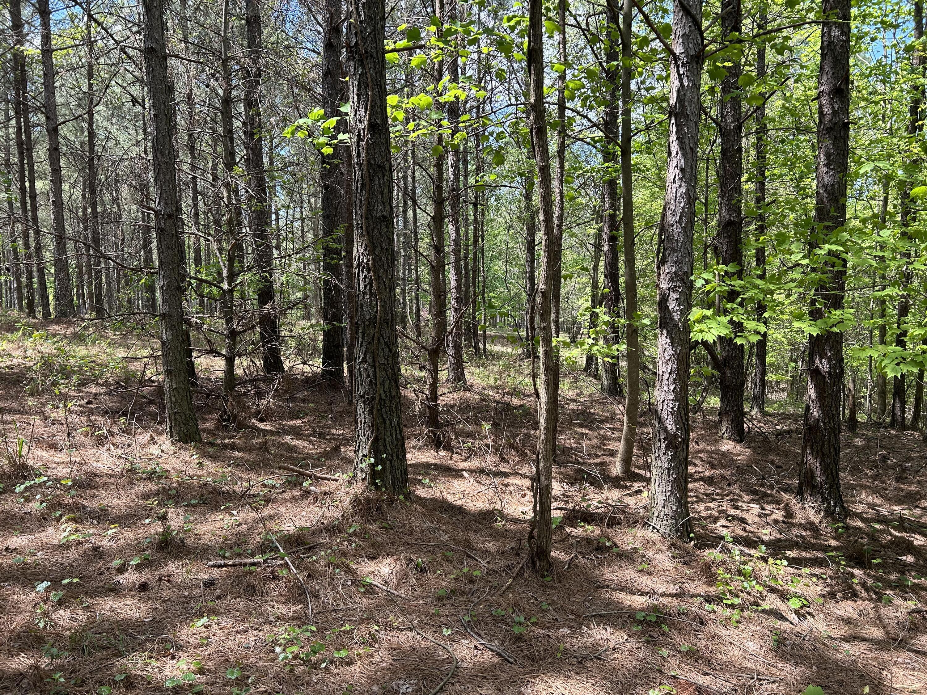 290 Bear Trace Drive, Rb-201