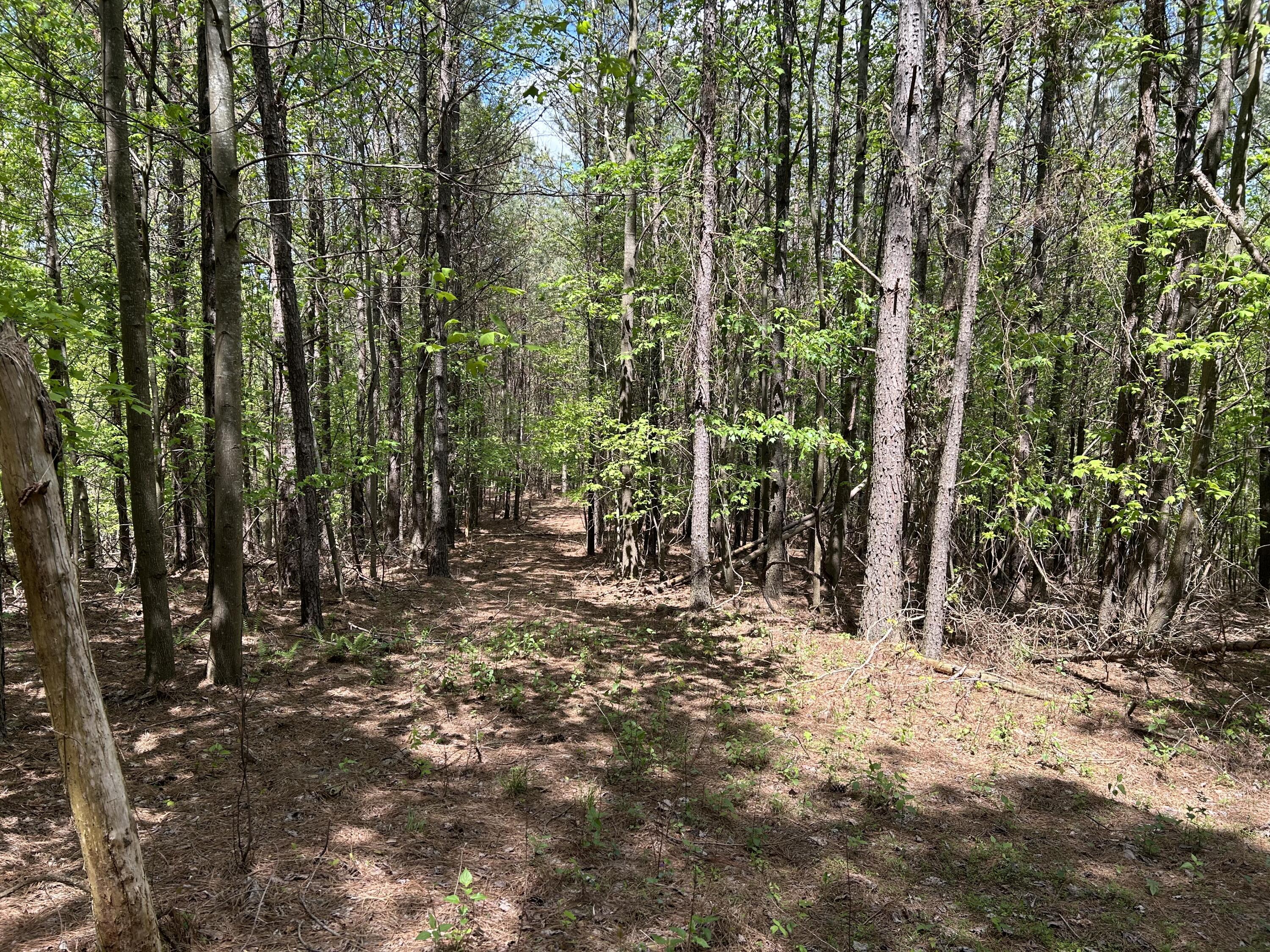 290 Bear Trace Drive, Rb-201